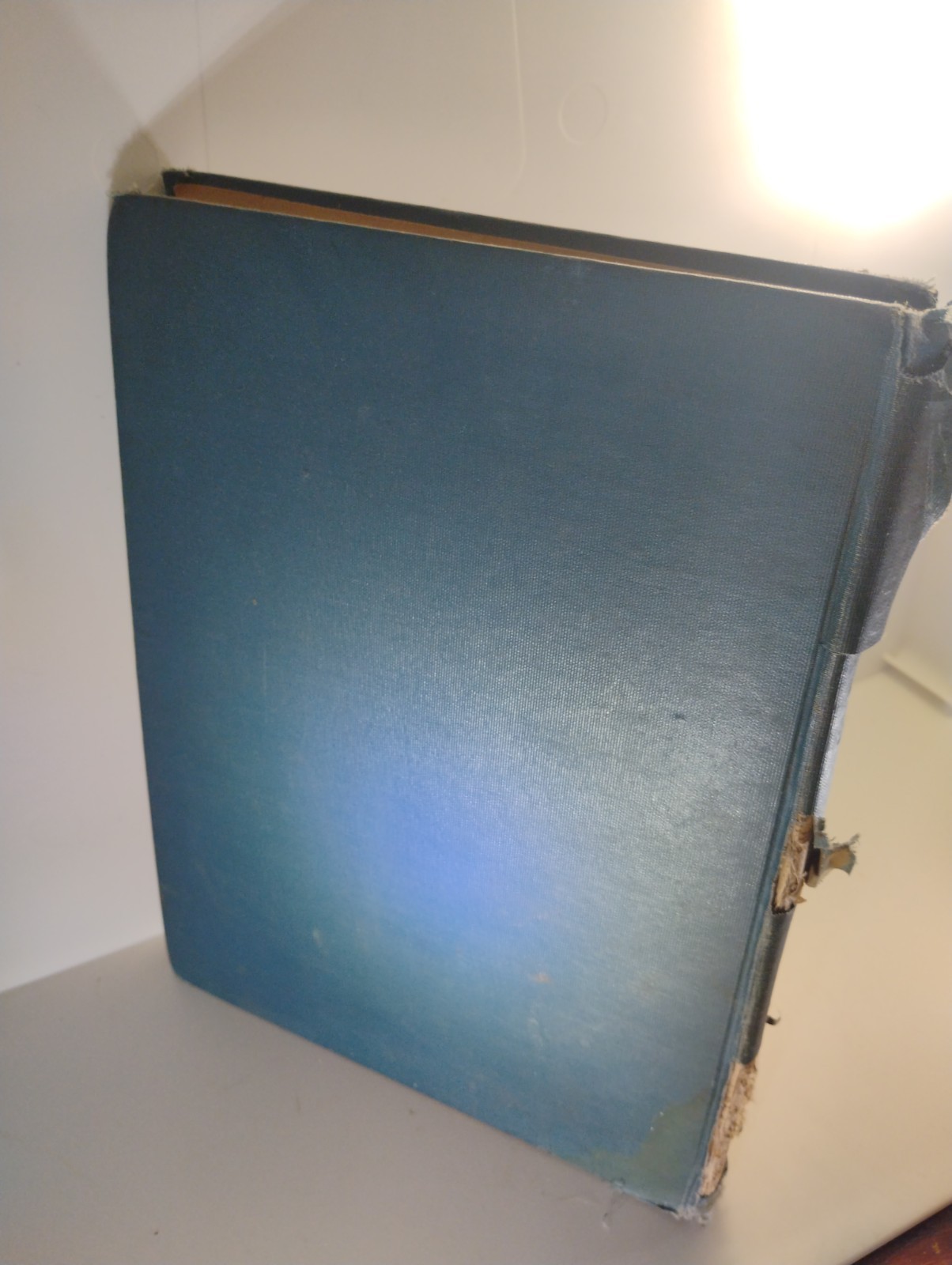 1927 ILLUSTRATED BY ELLA DOLBEAR LEE IN FULL COLORS THE OLDEST BIBLE STORIES