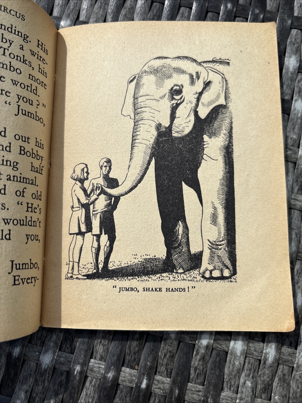 Vintage 40s Enid Blyton Old Thatch Series All About The Circus Illustrated Book