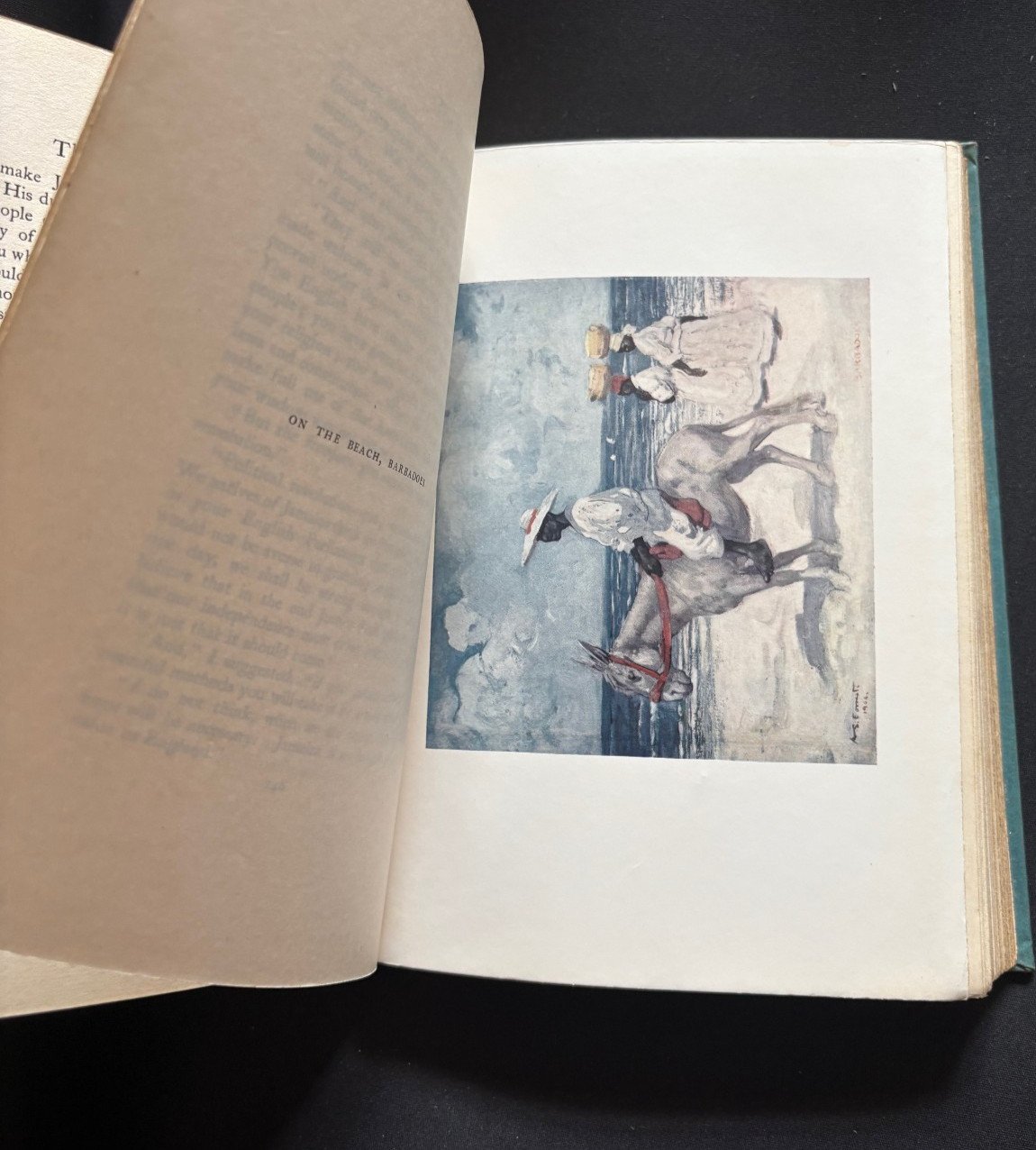 1905 Book THE WEST INDIES by John Henderson 74 Color Plates A.S. Forrest 1st Ed.