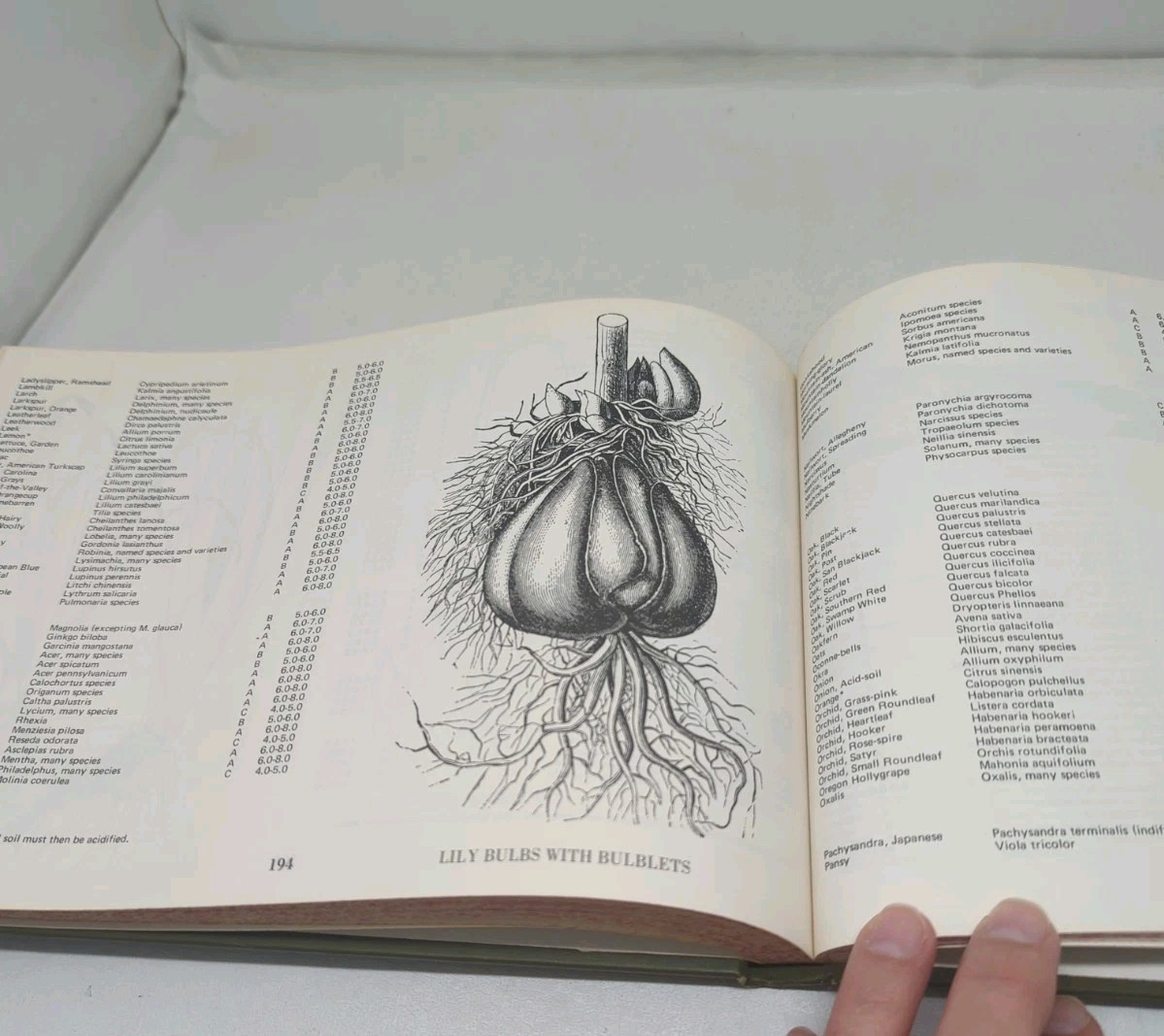 The Gardener’s Catalogue The Guide to Buying Plants 1976 Tom Riker HC DJ BCE