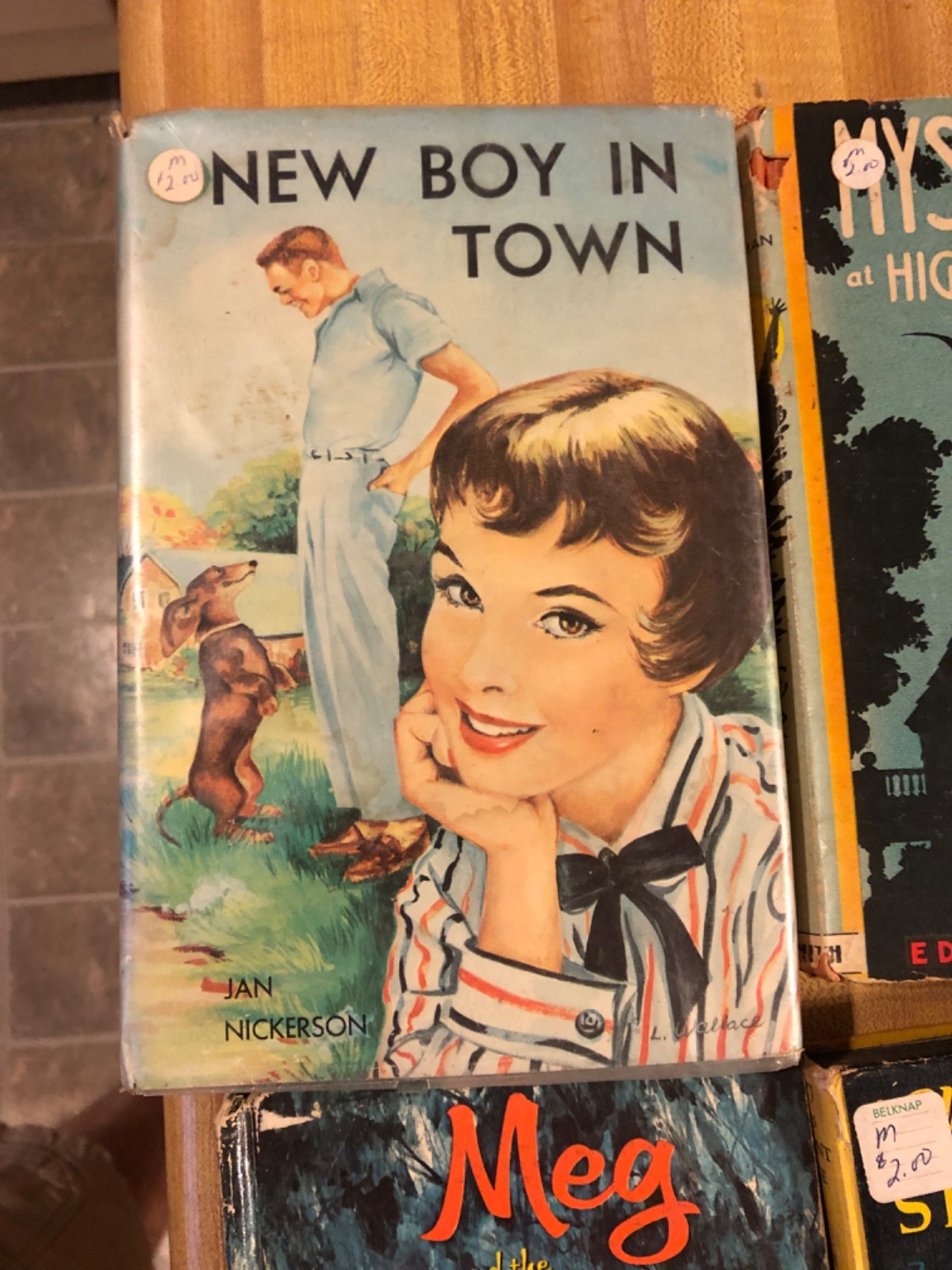 Lot of 10 Vintage Books-Romance, Mystery, Etc. Various Authors