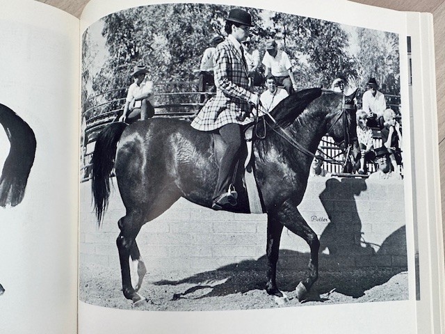 Arabian Horse Yearbook 1967 IAHA Vol XV Arabian Horse Books / Memorabilia