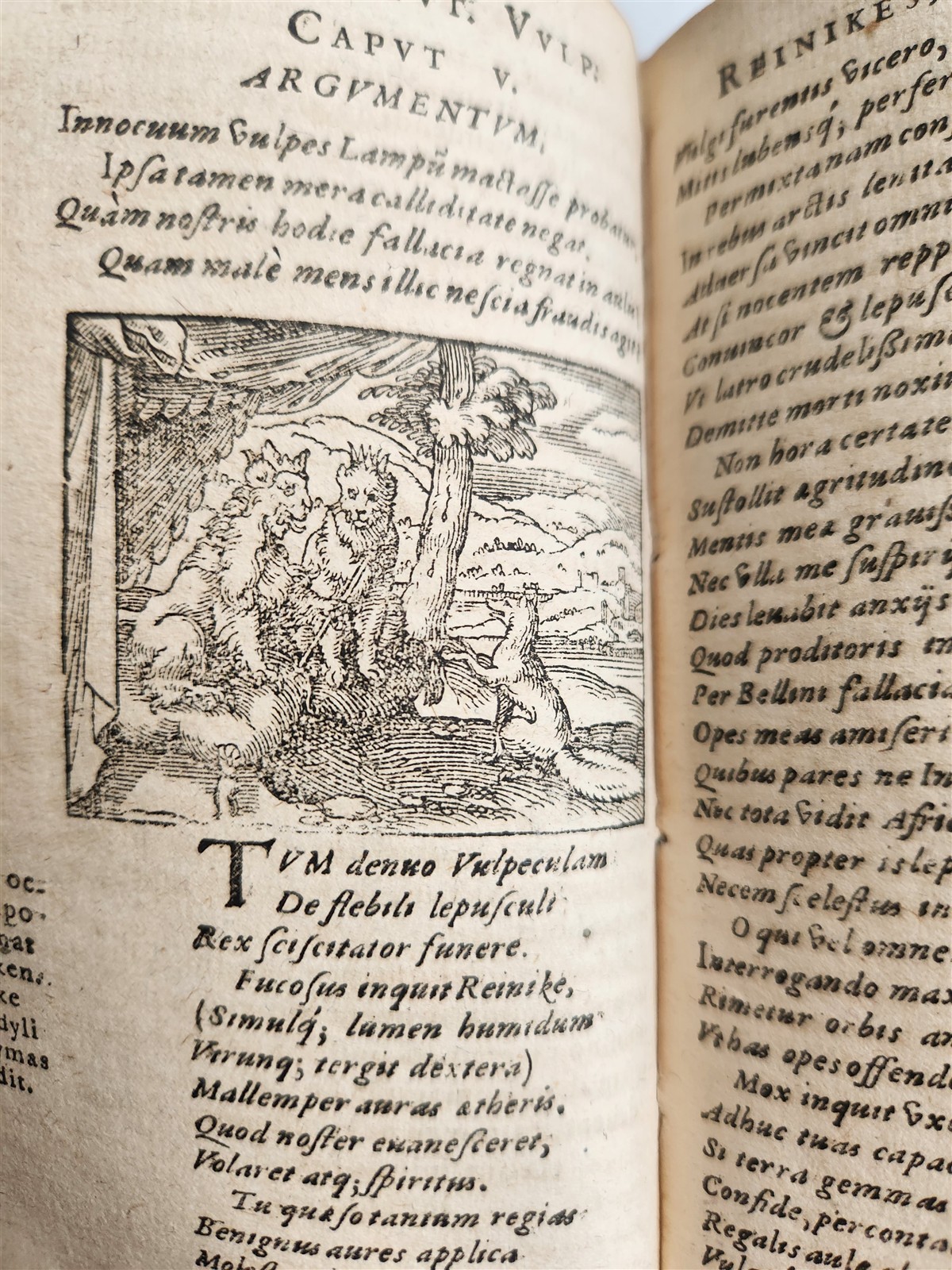1595 REYNARD the FOX in LATIN illustrated by Jost Amman & Virgil Solis ANTIQUE