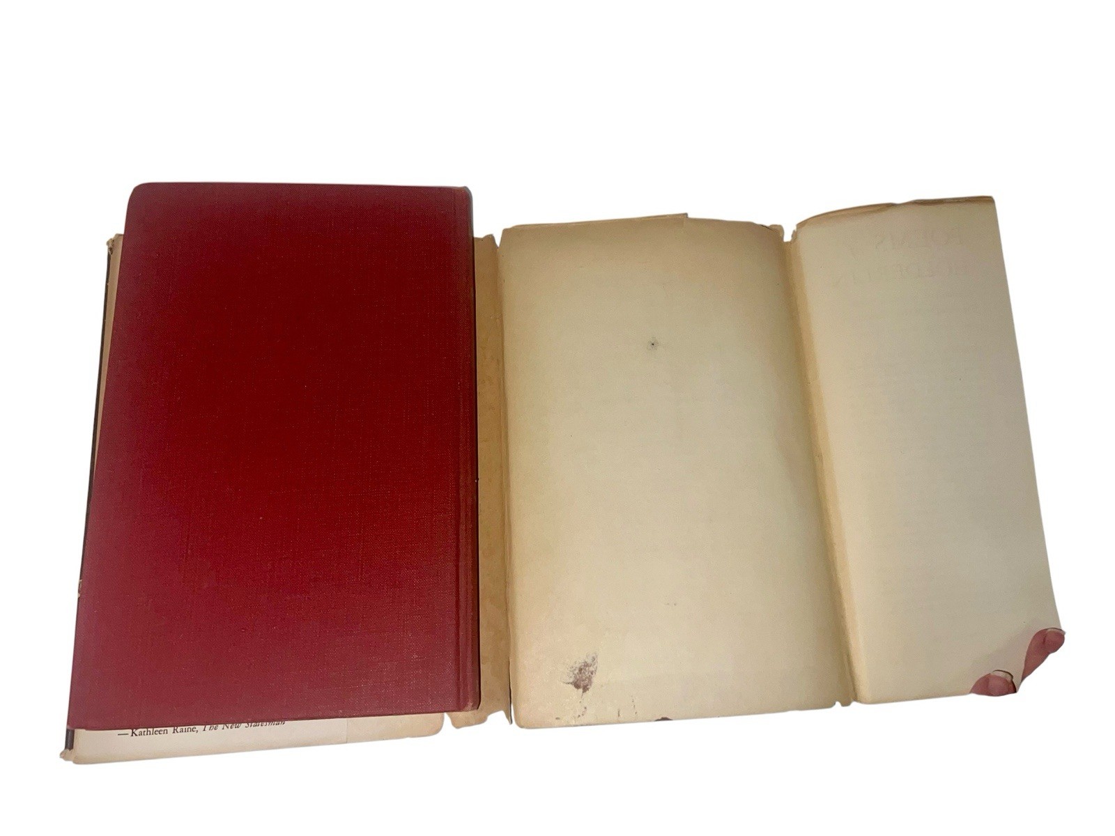 FLOWERS OF EVIL Baudelaire Les Fleurs du Mal 1st Ed Eng Trans Roy Campbell 1953