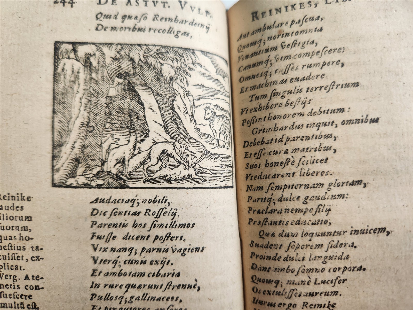 1595 REYNARD the FOX in LATIN illustrated by Jost Amman & Virgil Solis ANTIQUE