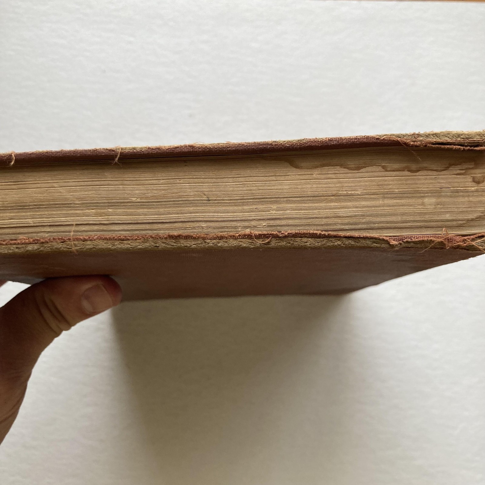Vintage 1959 My Catholic Faith Louis L. Morrow Brown Cloth HC Illus Catholicism