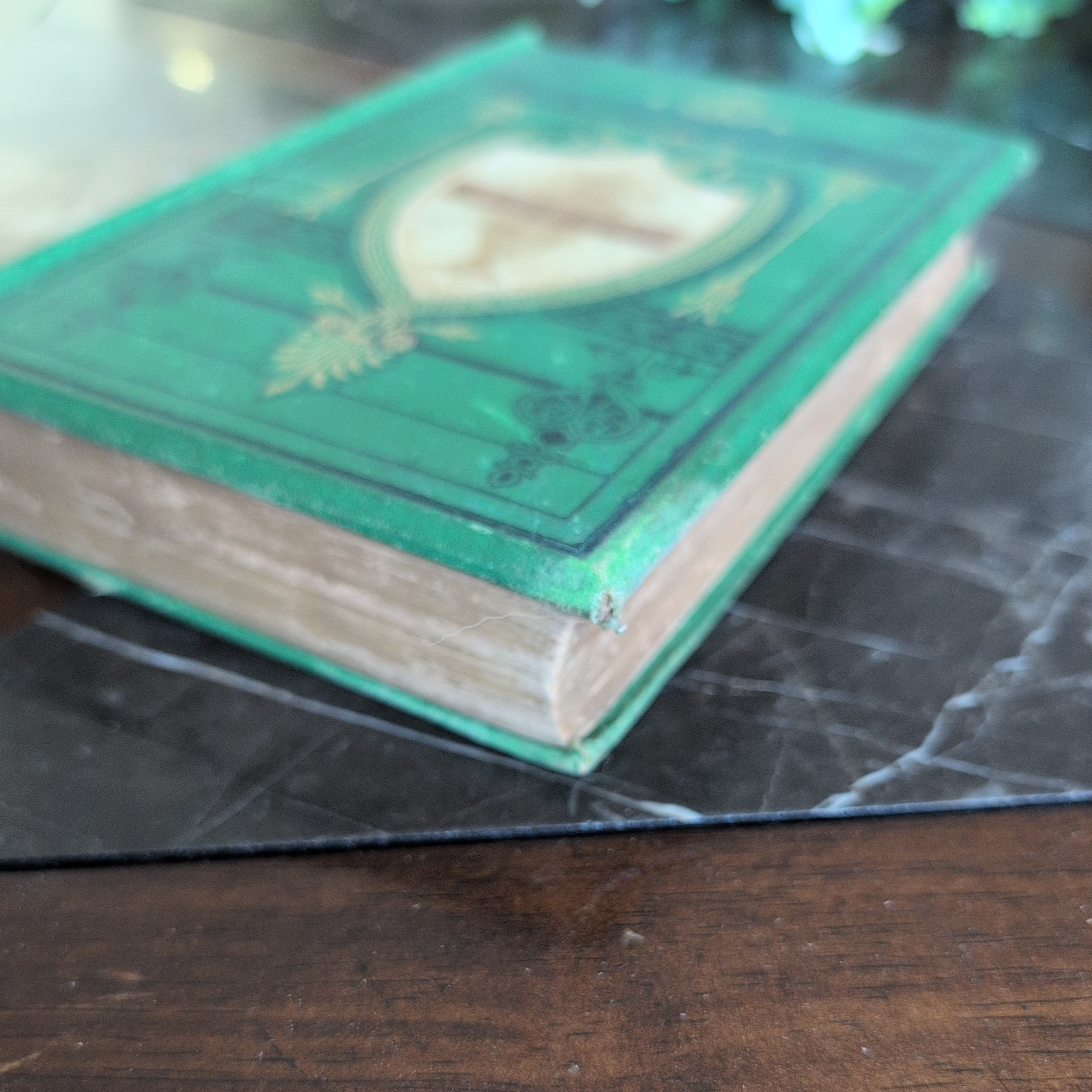 The Poetical Works Of Sir Walter Scott Bart- Gall & Inglis Circa 1870’s