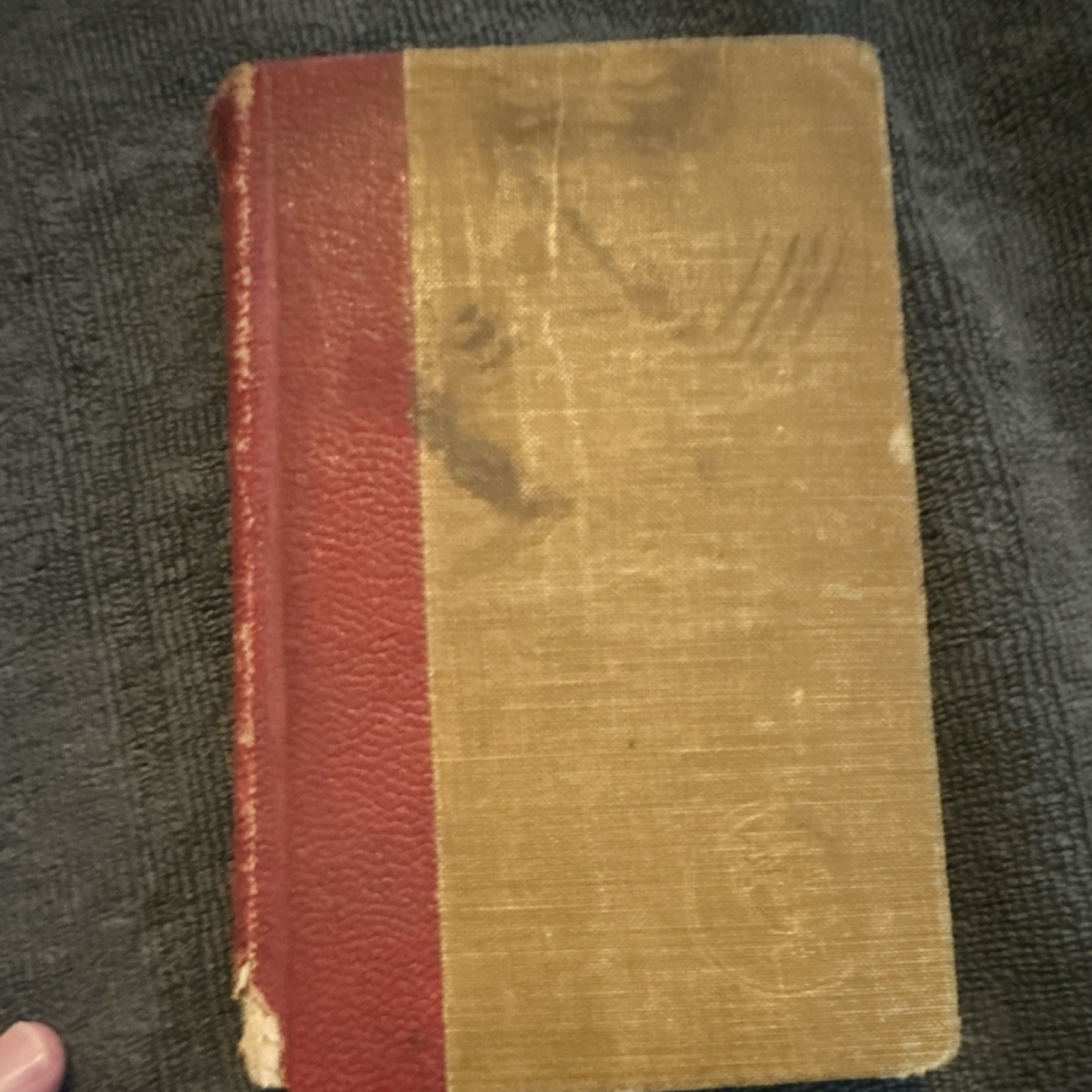 Funk & Wagnalls Edgar Allan Poe Works Cameo Edition Vol II & VI 1904 Illustrated
