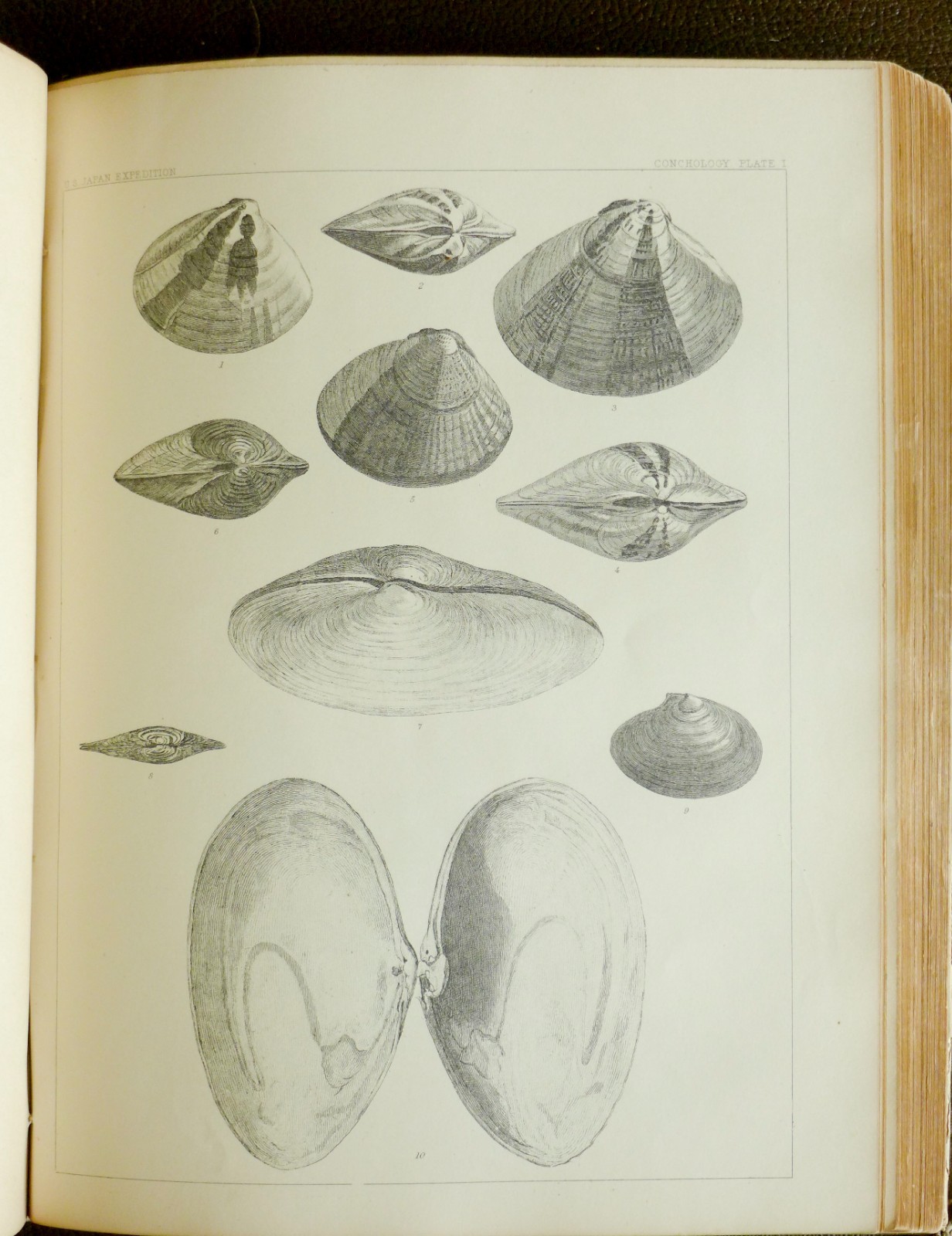 1856 1st Edition. Perry’s Expedition to Japan and the China Vol 2