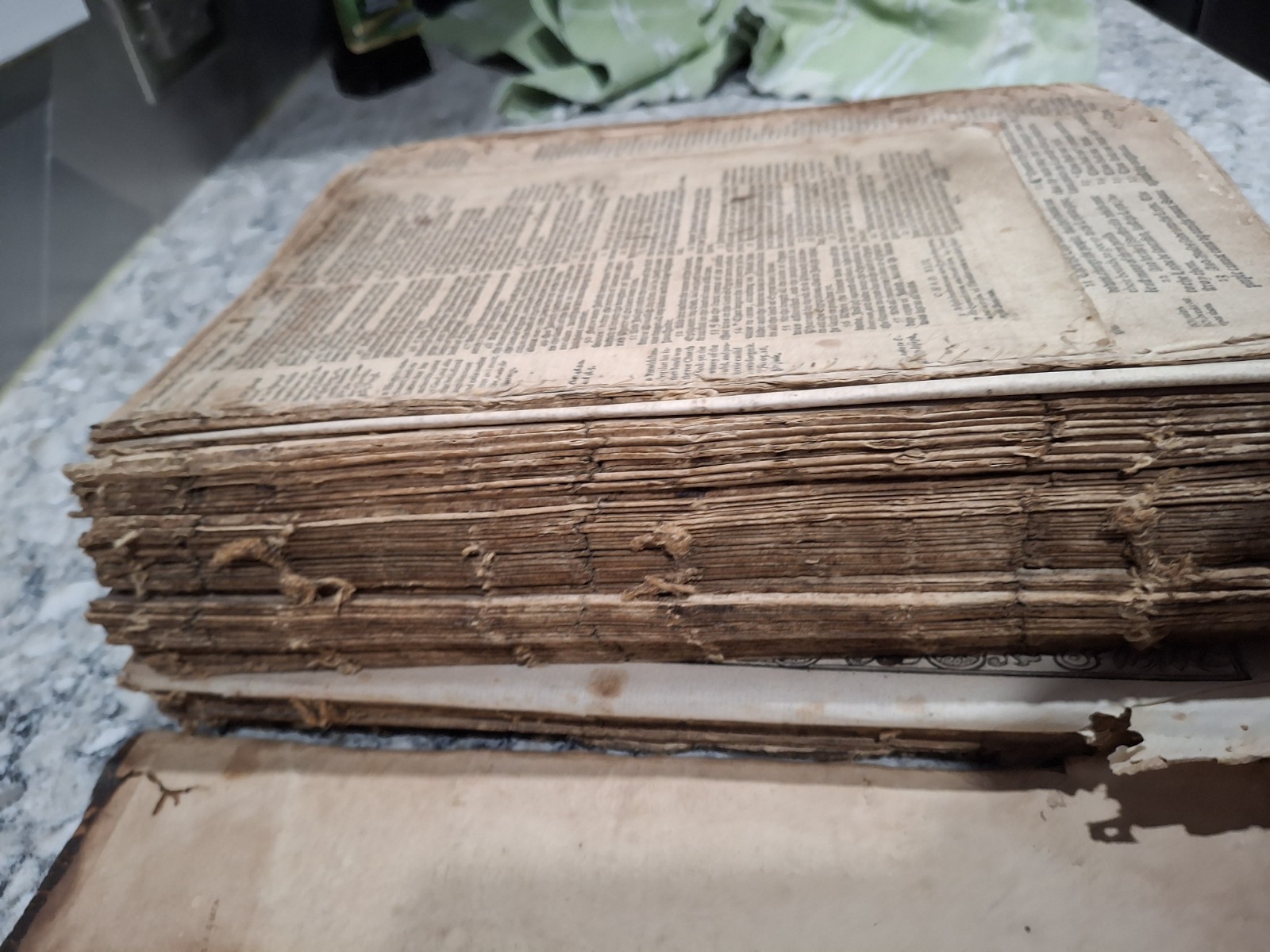 1591 GENEVA BIBLE,(2) RANDOM NON TITLE PAGES, (title pages on separate listings)