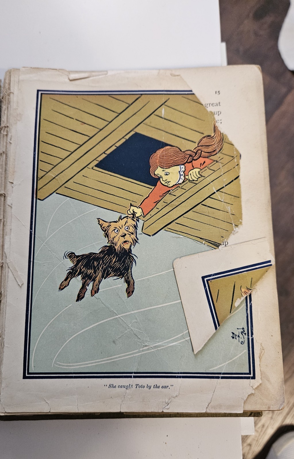 The Wonderful Wizard Of Oz 1ST Edition