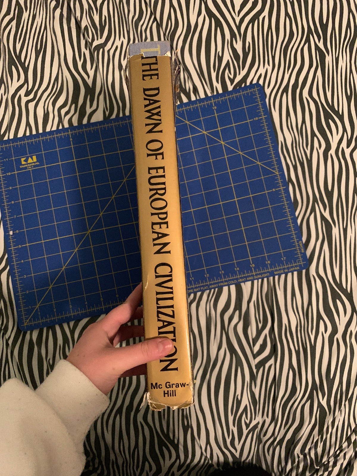The Dawn Of European Civilization – McGraw Hill Book – 1965