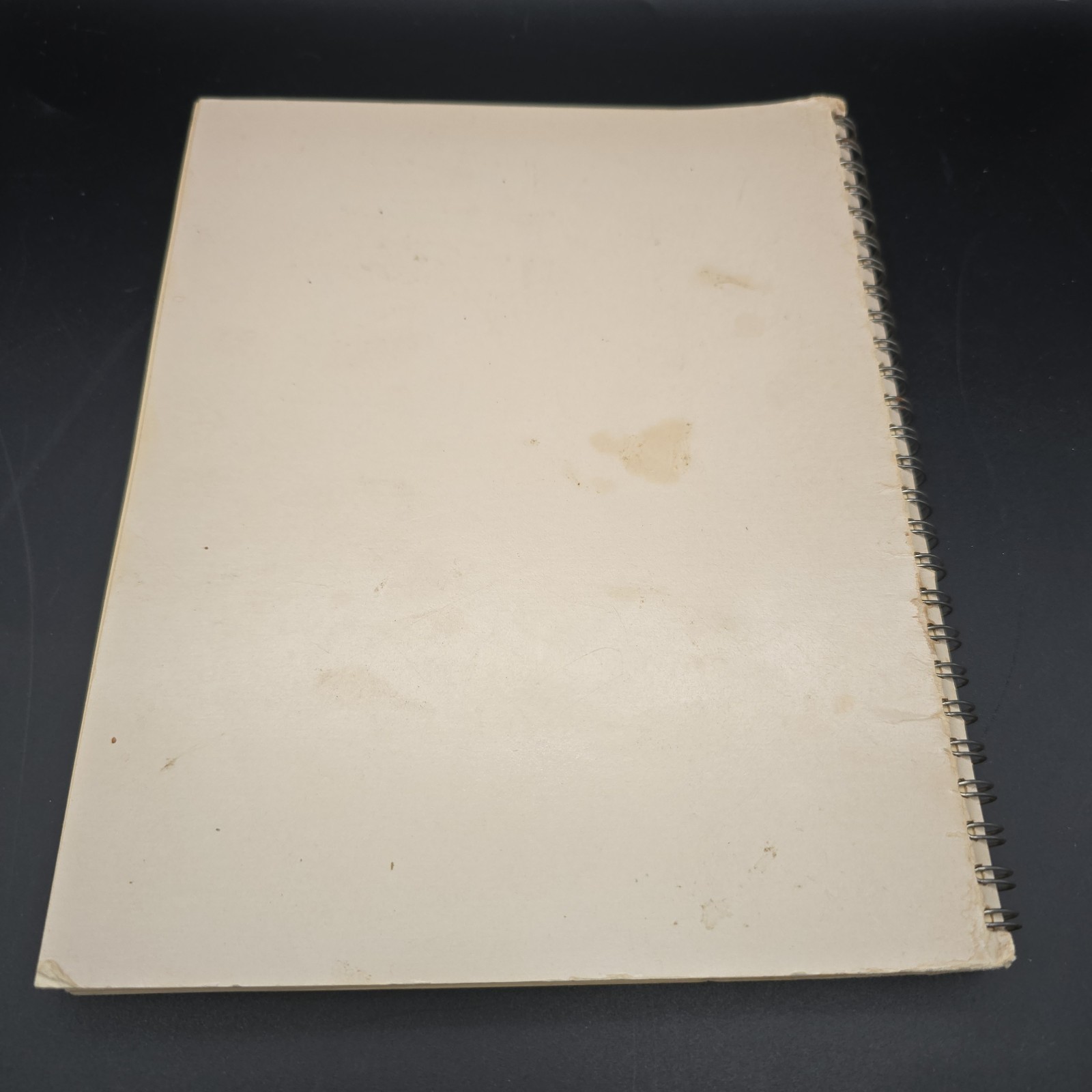 Cooking the Watkins Way Spiral Bound Vintage Cookbook c. 1976 Winona MN Products