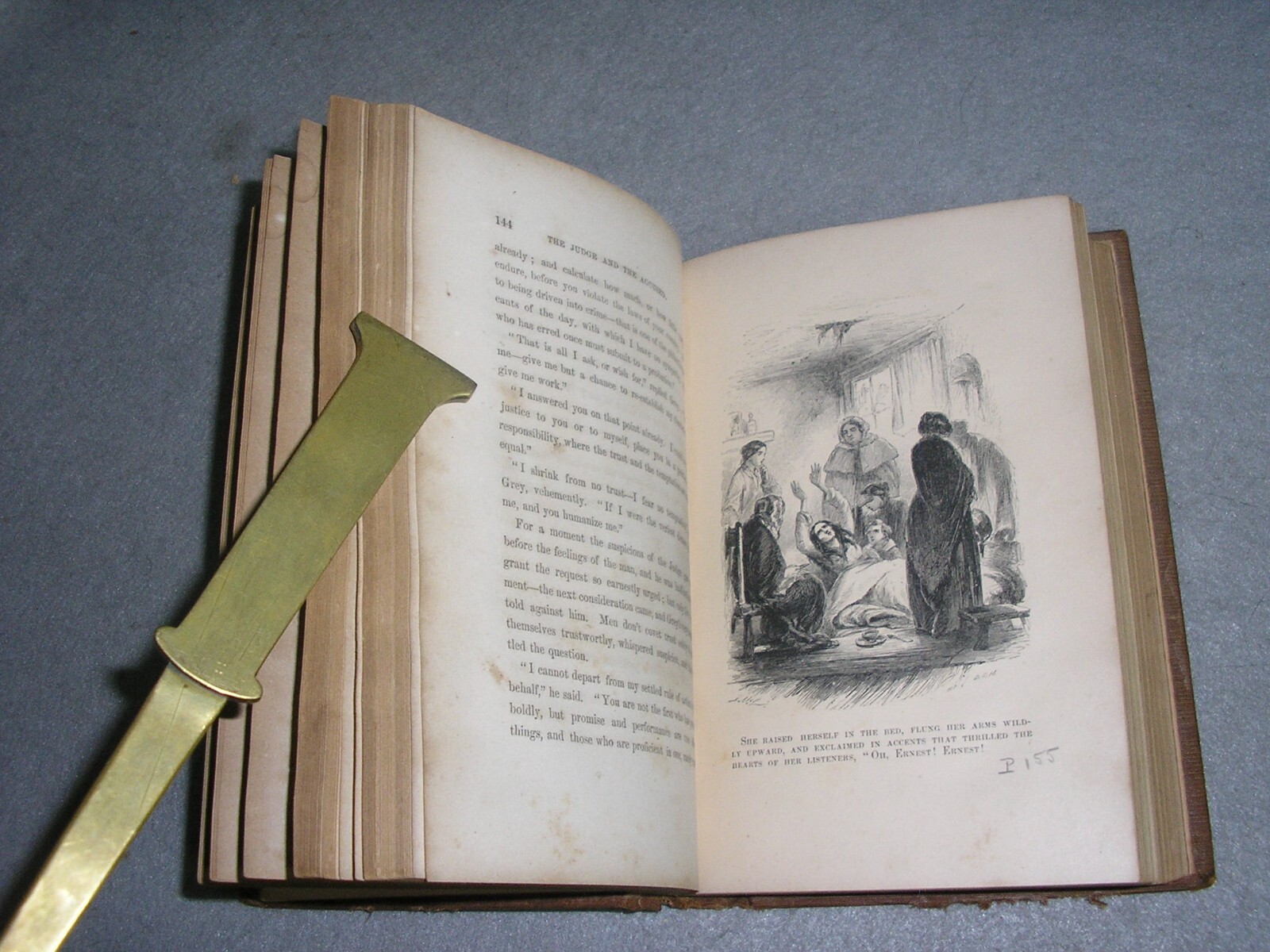 Antique NYC Book New York Life Ernest Grey Sins of Society Gangs of NY Era 1855
