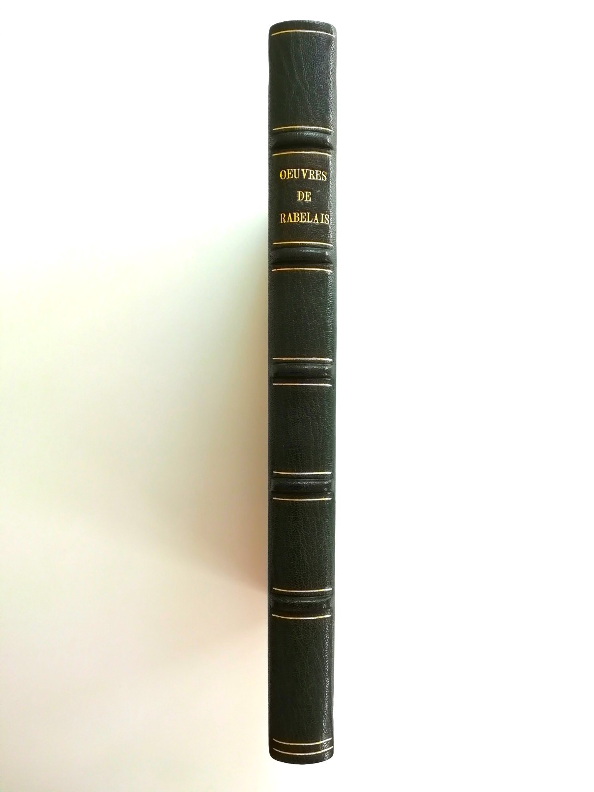 Œuvres de Rabelais. Illus. Gustave Doré. Paris: 1857 2nd Ed Shepherds Binding