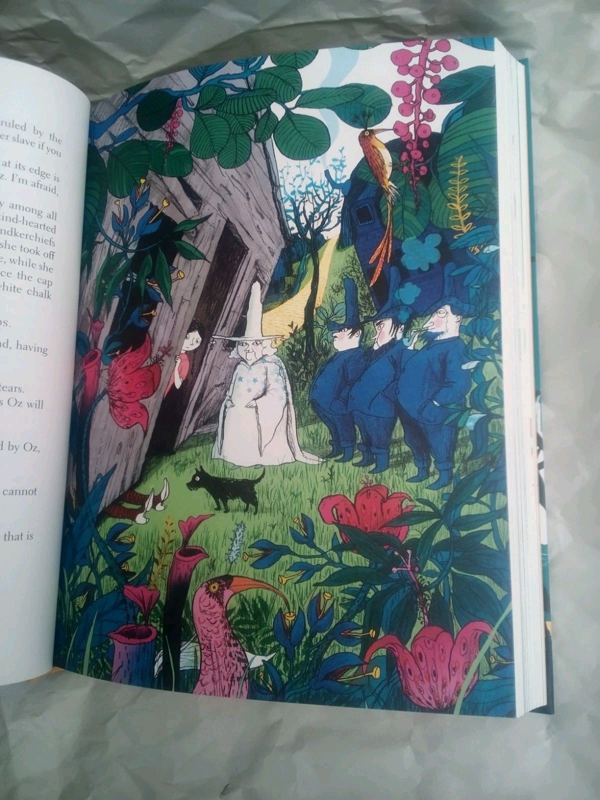 The Wonderful Wizard of Oz FOLIO SOCIETY w/SLIP CASE Illustrated 2010/2018 RARE!