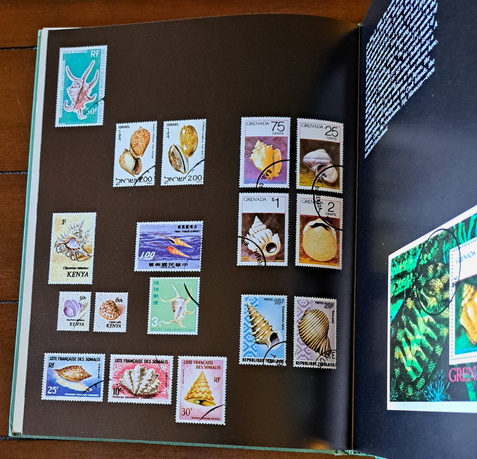Shells: Treasures from the Sea By James A. Cox, Hardcover