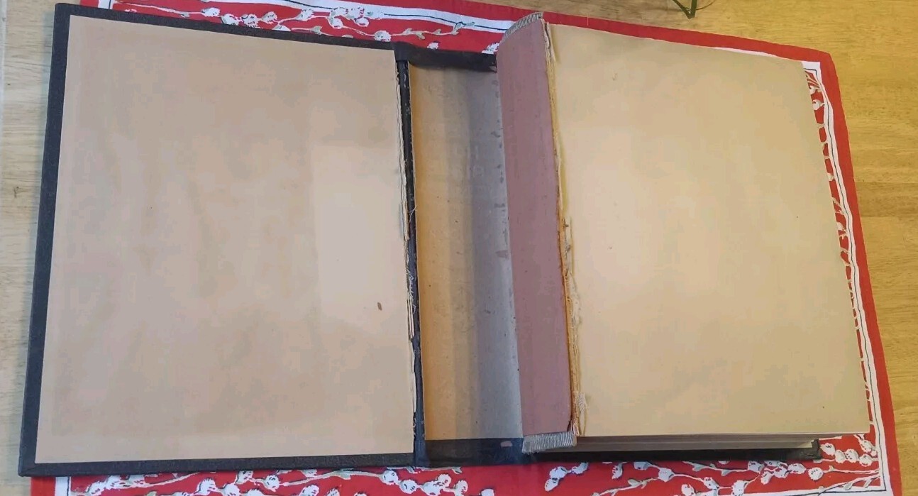 ATQ Huge Holy Bible Embossed Leather Family c.1880 Beautiful Victorian Illust