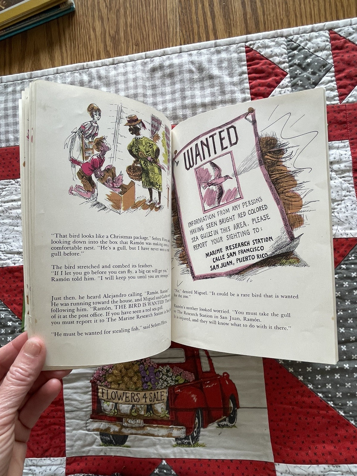 Ramon And The Pirate Gull, Puerto Rico, Robert Barry, Vintage HC Children’s