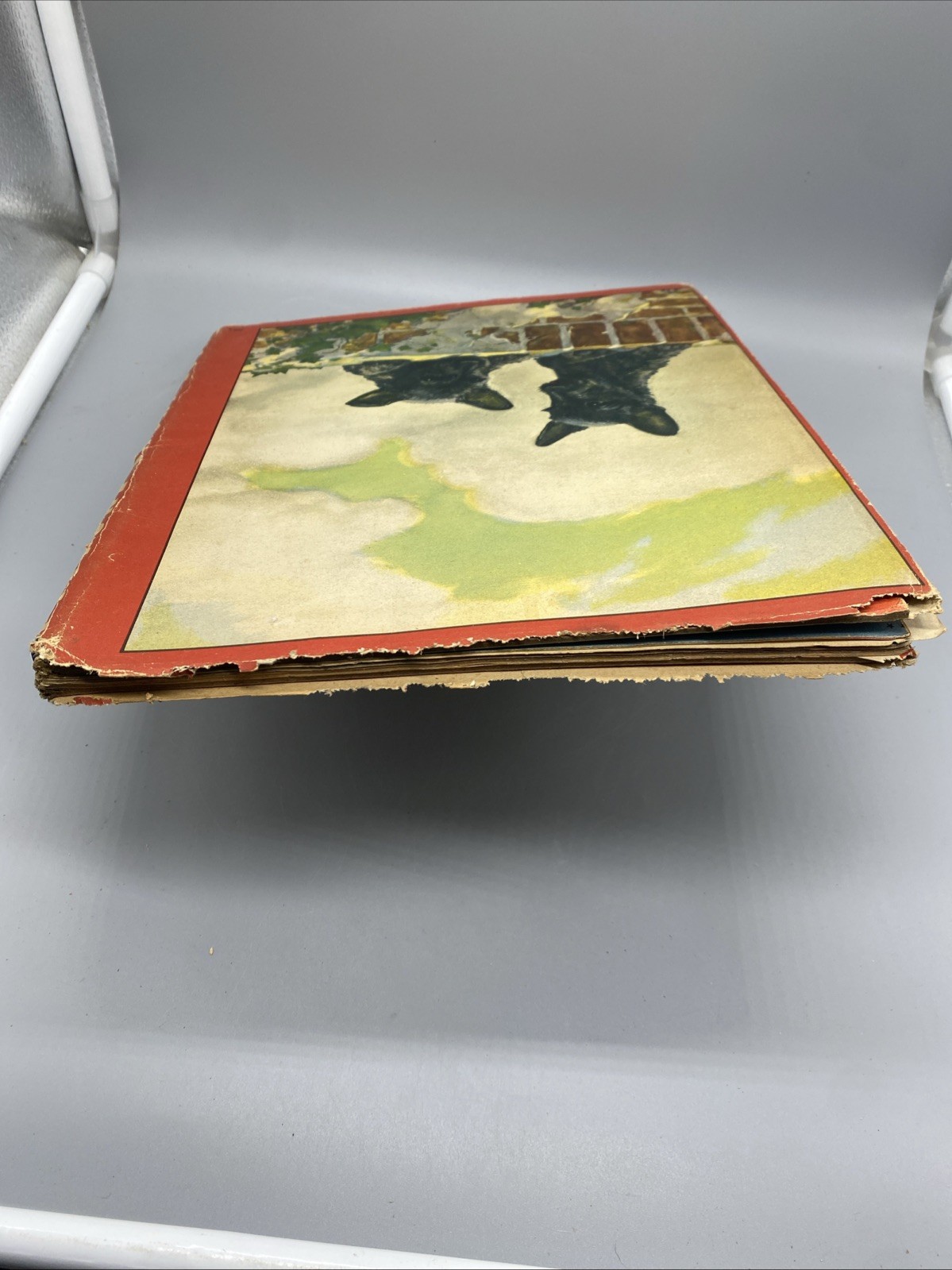 Picture Story Book 1943 Saalfield Various Animals HC DJ Spiral Beautiful Artwork