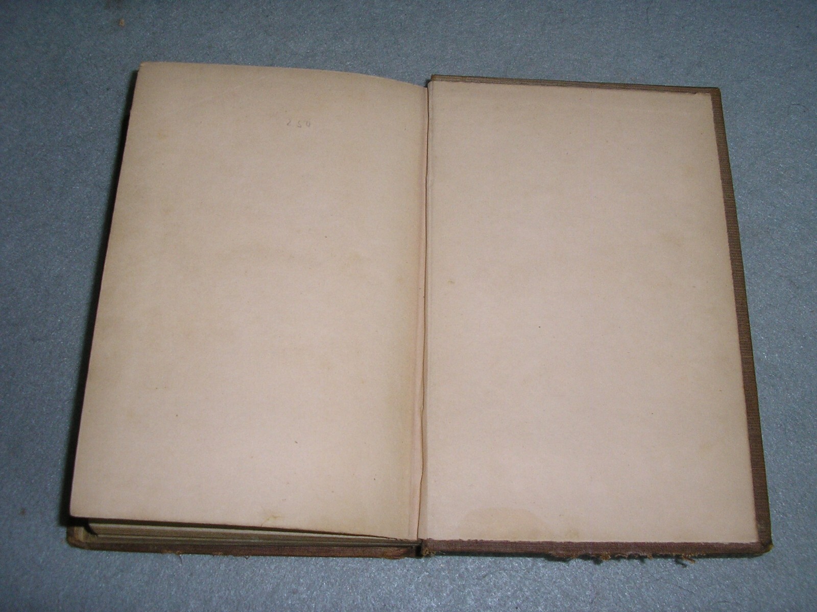 Antique NYC Book New York Life Ernest Grey Sins of Society Gangs of NY Era 1855