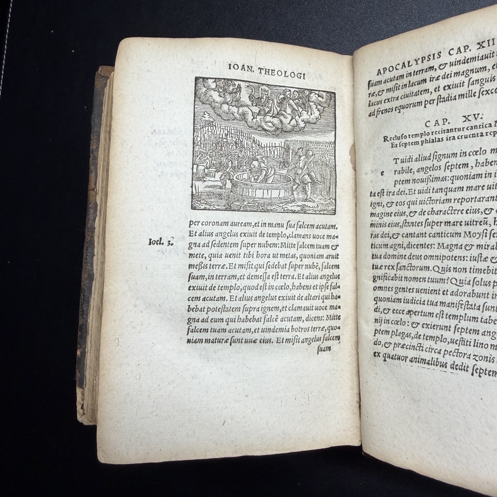 1567 ✝️ Erasmus Novi Testamenti, Latin NT, 100+ Woodcuts, Rihel