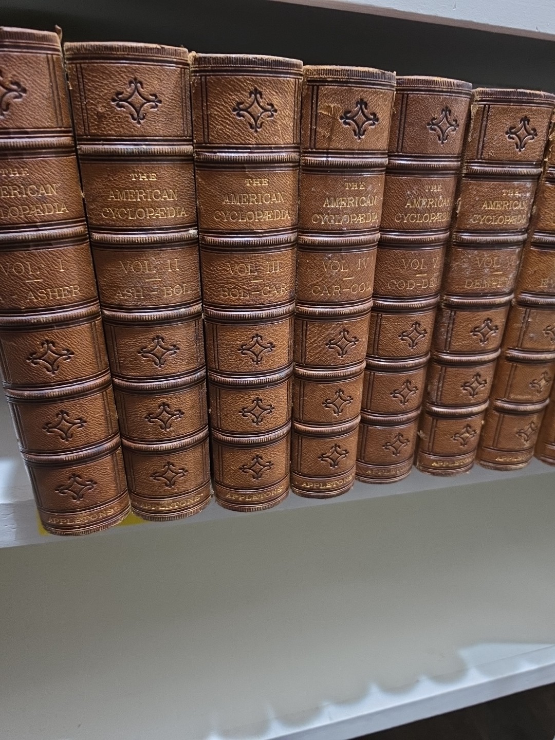 American Cyclopedia 1873 vol 1-11 Antique Good Condition Collectible Historic