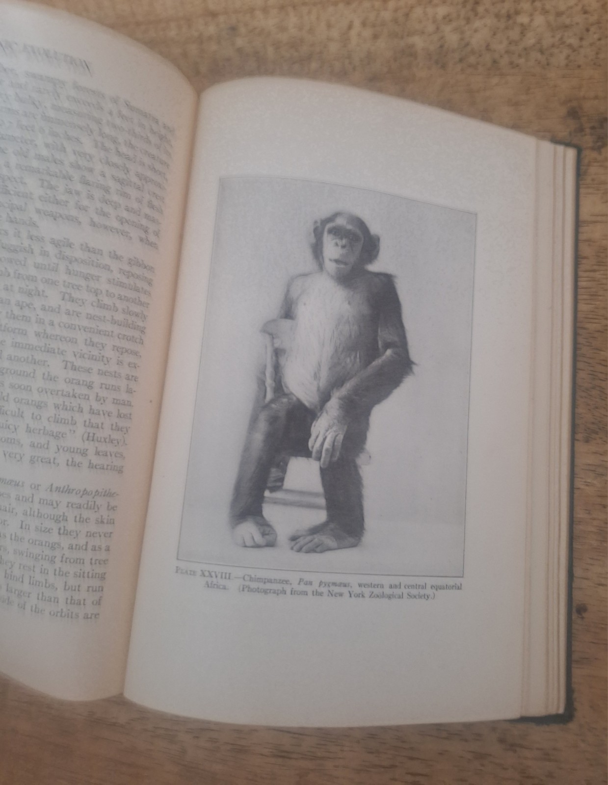 Signed Organic Evolution, Richard Swann Lull, 1921 hardcover Science