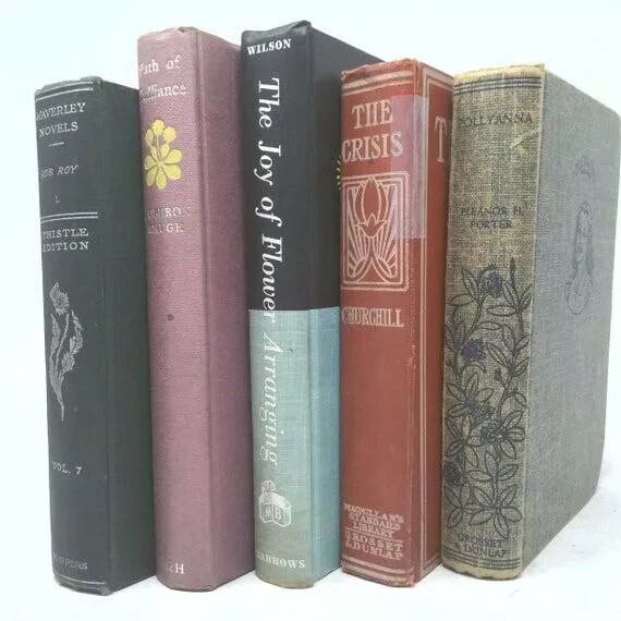 Lot of 18 Vintage Old Rare Antique Random Hardcover Books – Library Decor