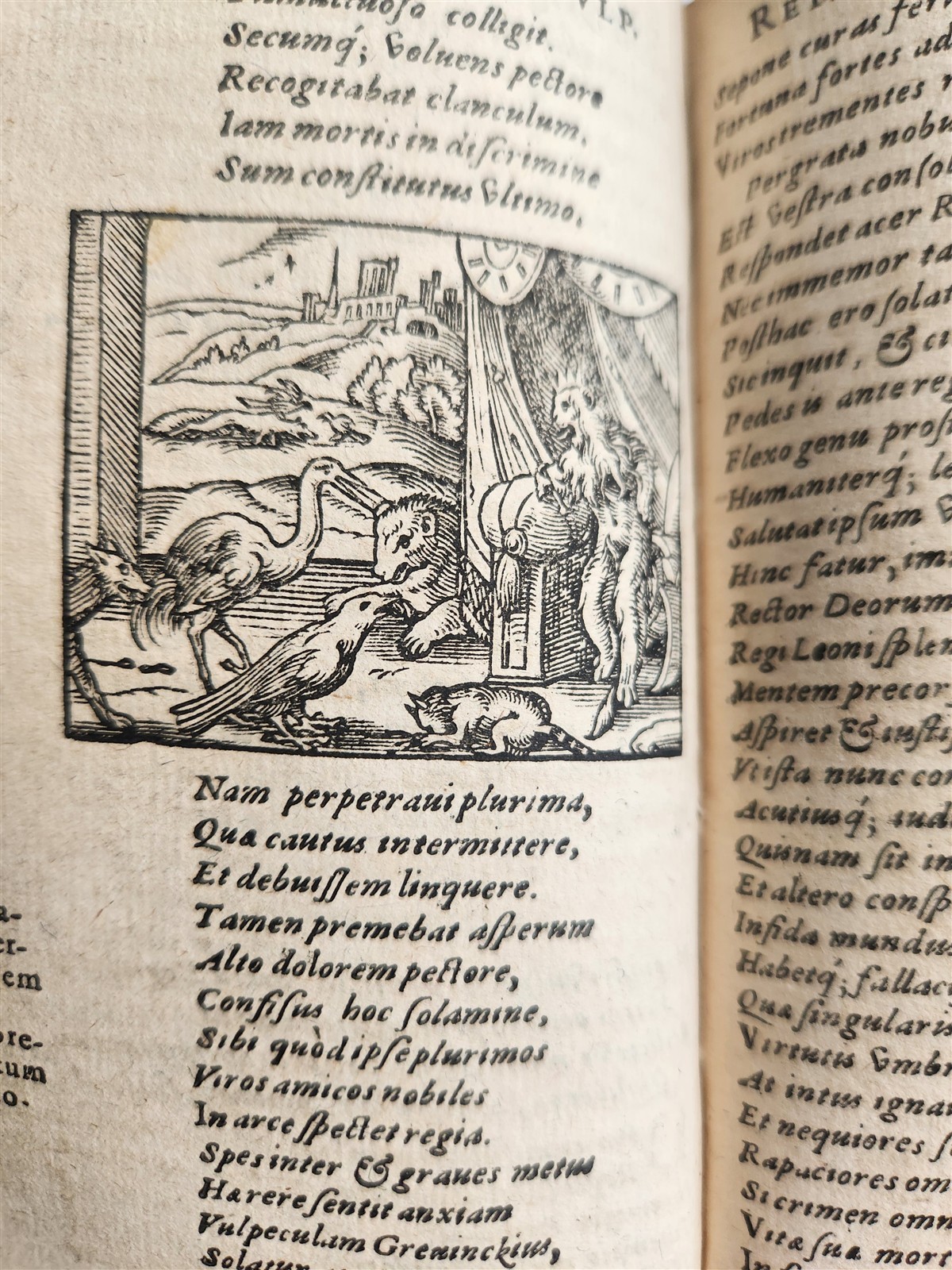 1595 REYNARD the FOX in LATIN illustrated by Jost Amman & Virgil Solis ANTIQUE
