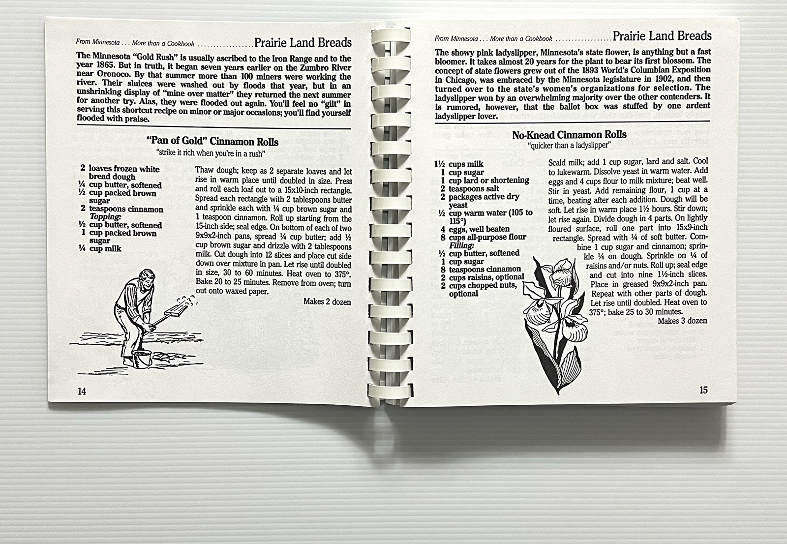 From Minnesota…More Than A Cookbook by Laurie & Debra Gluesing SB 1992