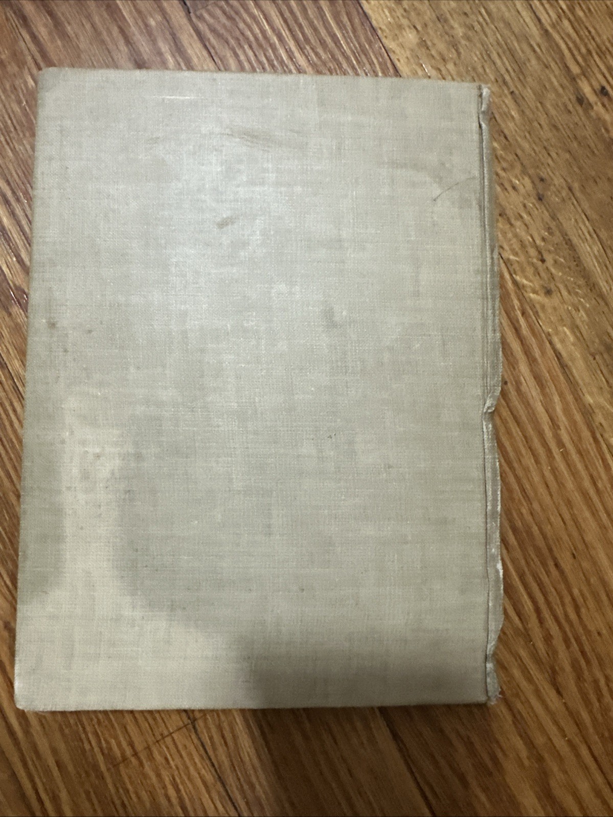 Folksy Fruit 1924 First Edition;illustrated By T.Benjamin Faucett