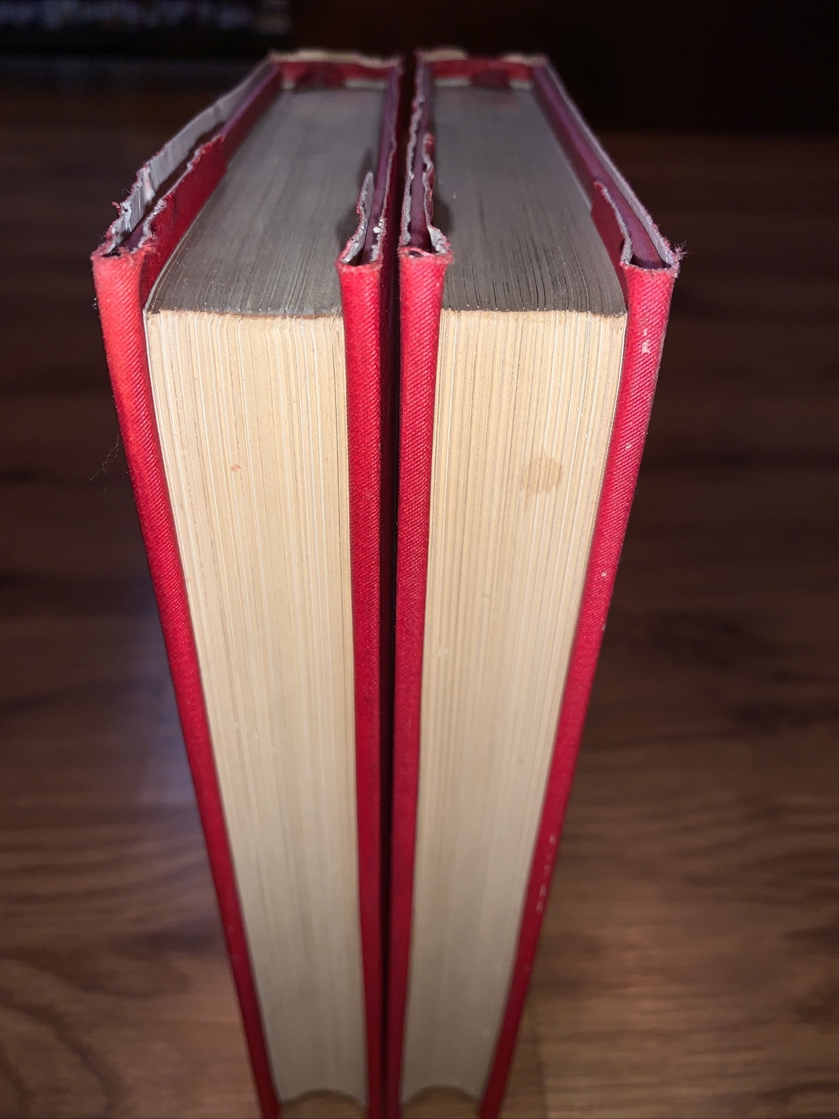 Holland by Edmondo De Amicis 2 Volumes Illustrated 1894 w/ Dust Jacket
