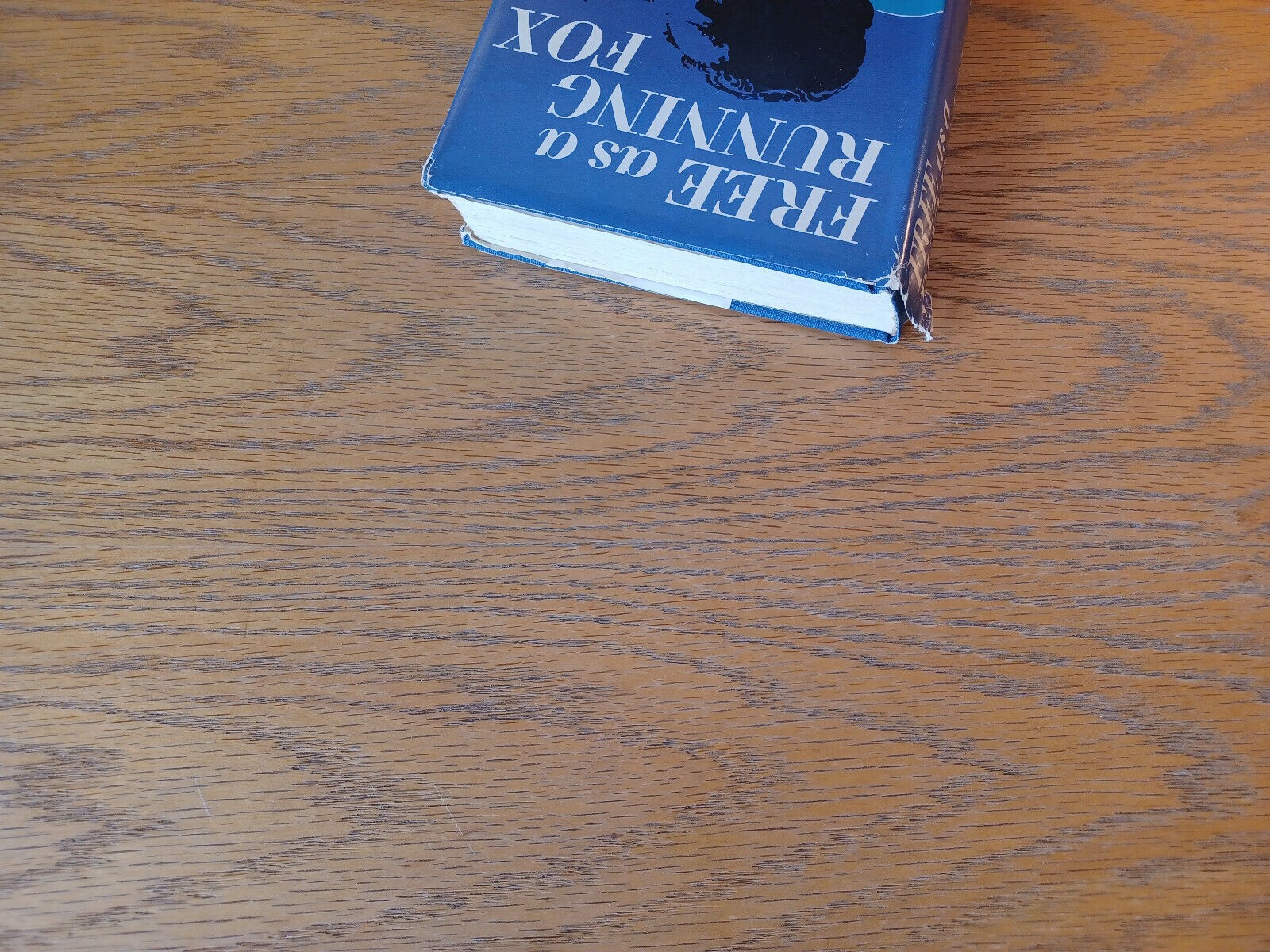Free As A Running Fox T D Calnan 1970 Book Club Edition Dial Press