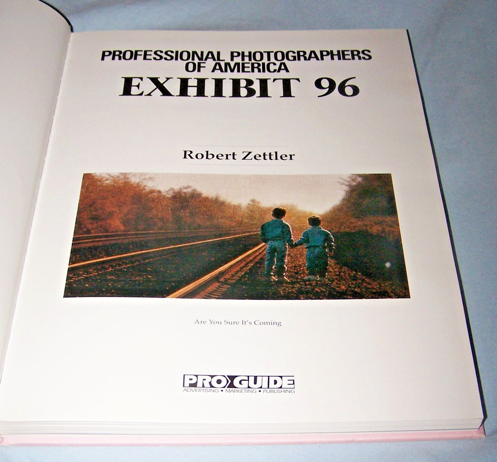 Professional Photographers of America Exhibit 96 HB w/dj-224 pages