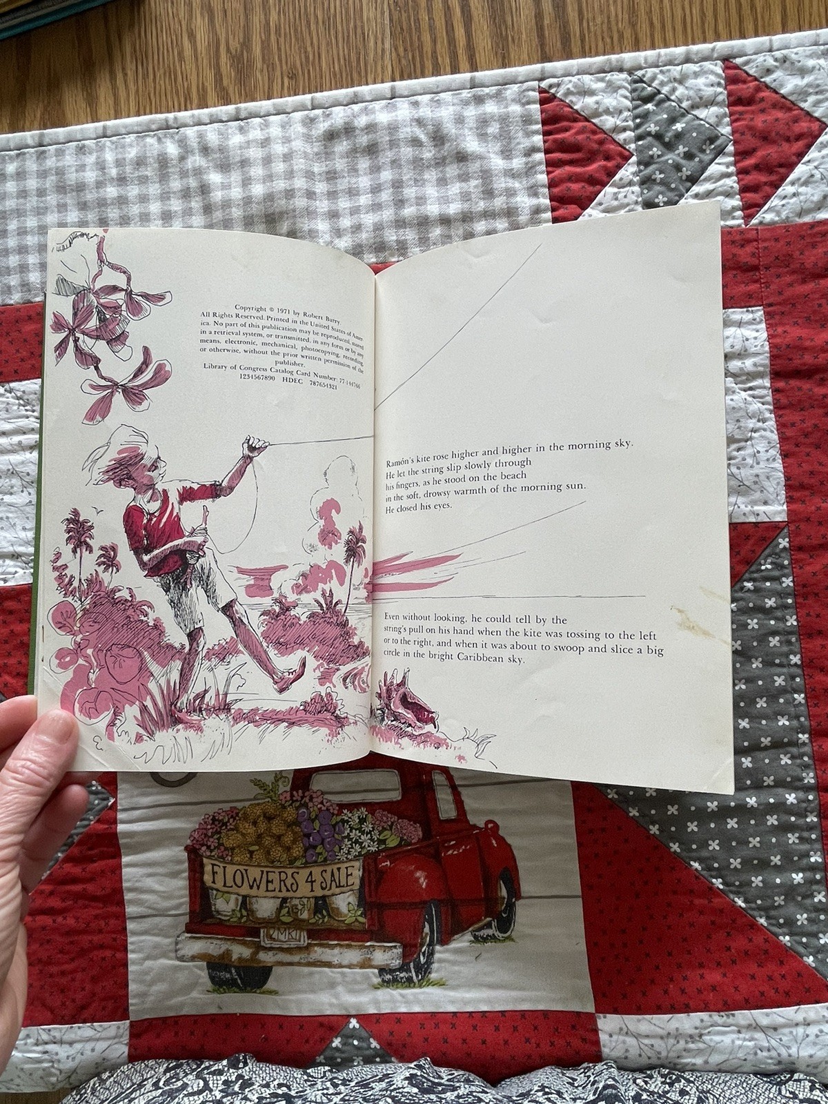 Ramon And The Pirate Gull, Puerto Rico, Robert Barry, Vintage HC Children’s