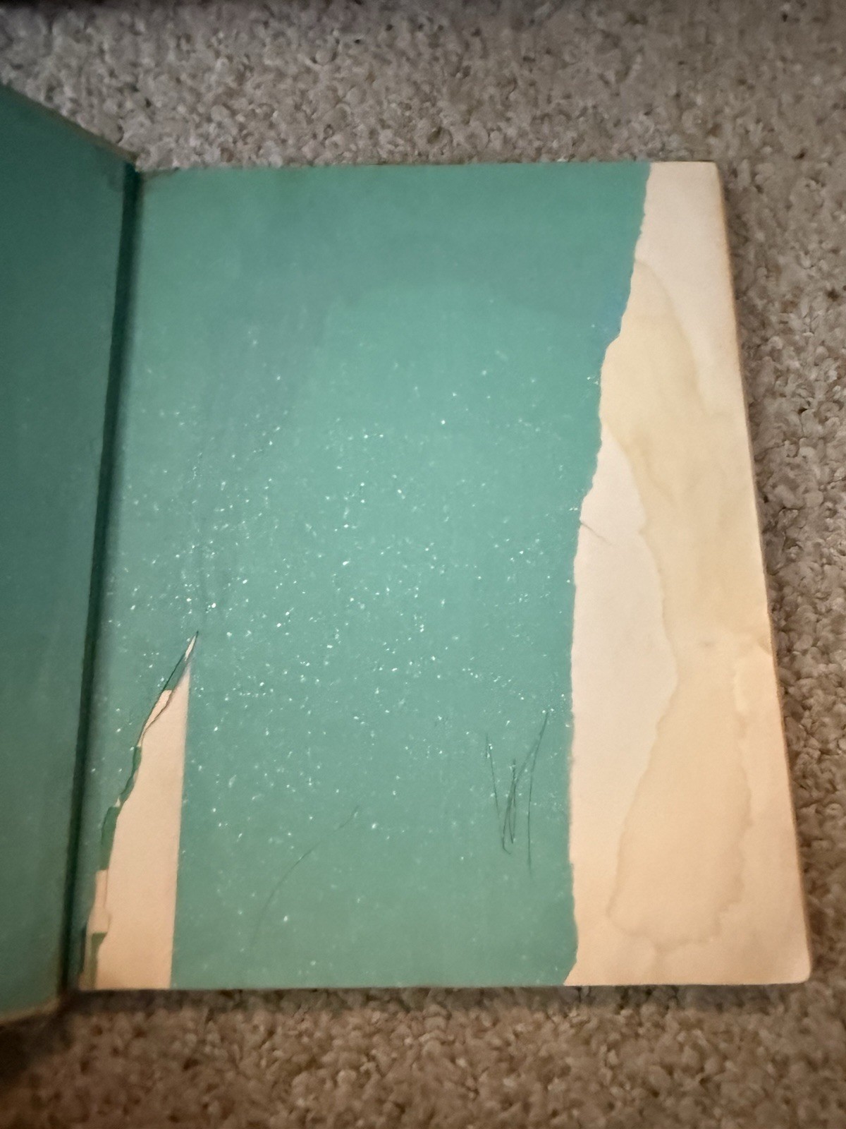 Rand McNally The Real Mother Goose Junior Edition, Illustrated, 1936