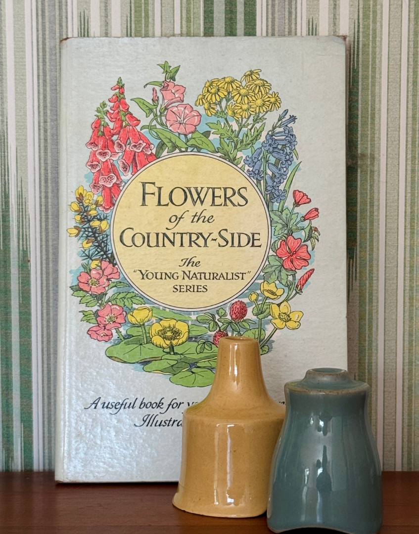 Vintage Flowers of the Country-Side Book Cyril J Lane Young Naturalist 1950s