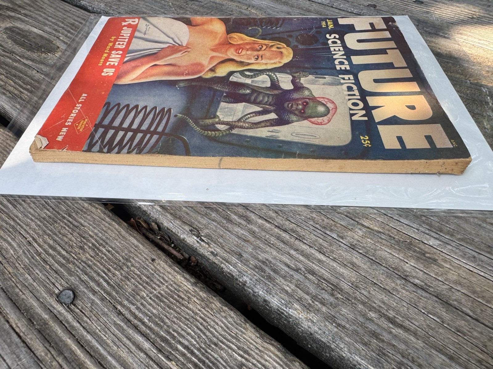 FUTURE SCIENCE FICTION • FANTASTIC STORY • STARTLING STORIES • PLANET STORIES