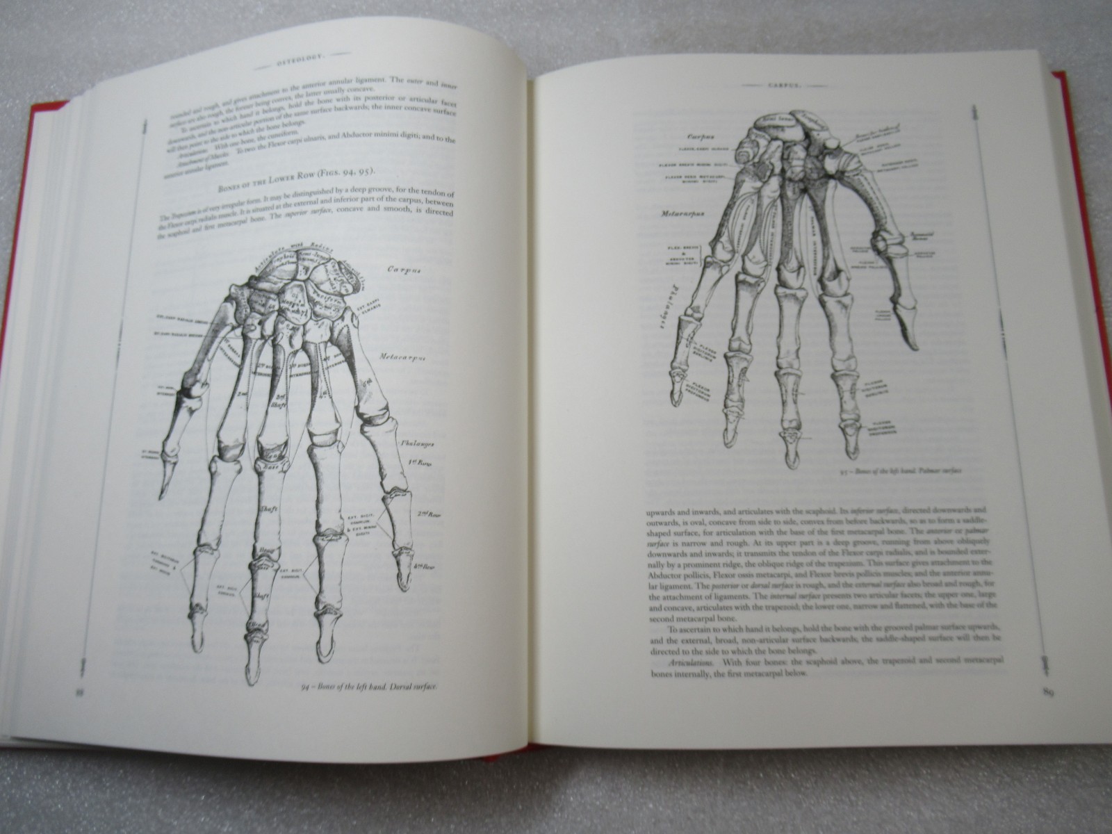 Gray’s Anatomy – Henry Carter Illustrated HB in Slipcase – Arcturus Edition 2014
