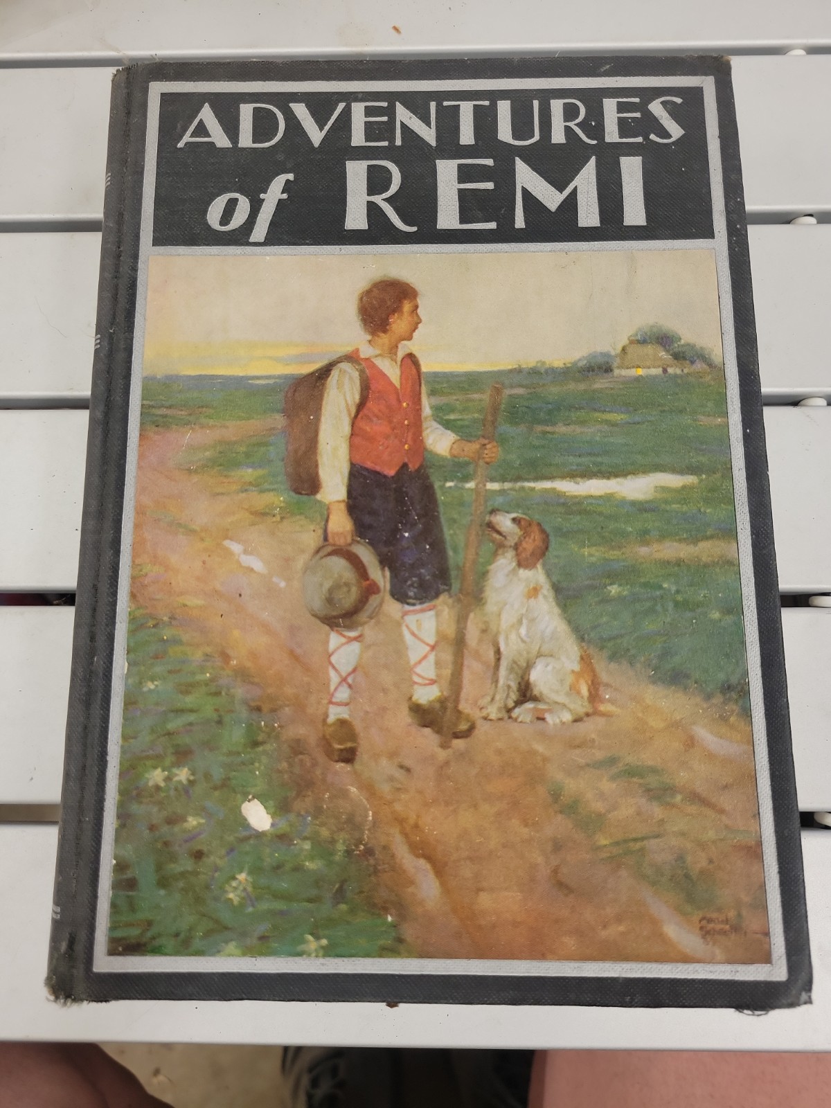 ADVENTURES OF REMI. ILLUS MEAD SCHAEFFER. RAND MCNALLY. 1935. HARDBACK. COLOR IL