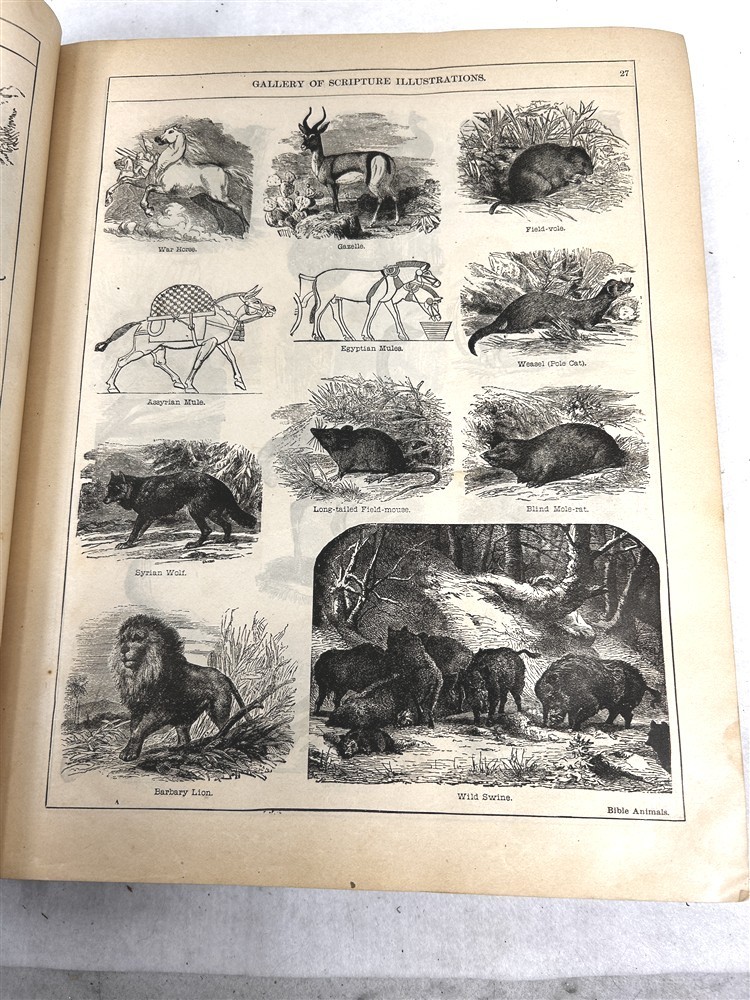 antique Bible 19thc faux leather tooled 10×12 Illustrated Concordance original