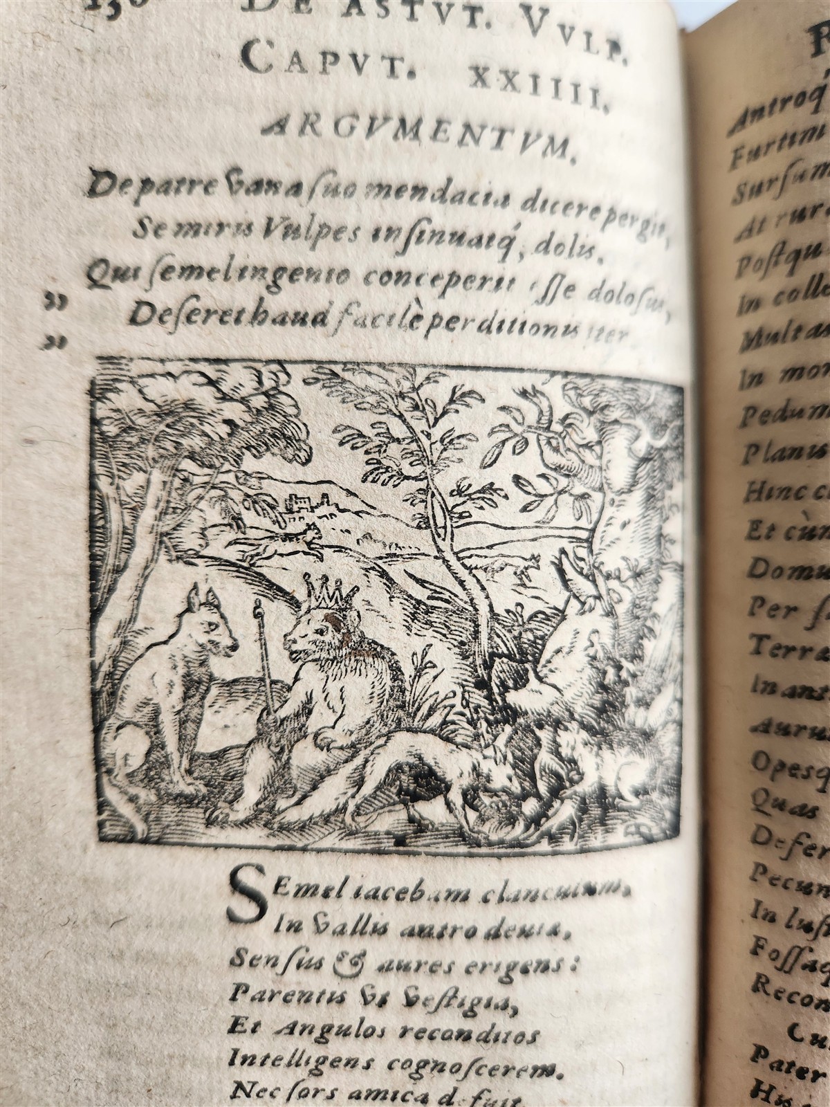 1595 REYNARD the FOX in LATIN illustrated by Jost Amman & Virgil Solis ANTIQUE