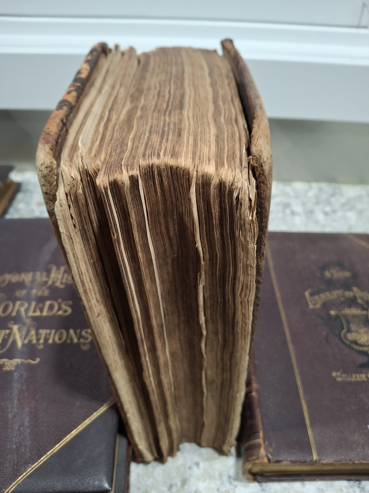1591 GENEVA BIBLE,(2) RANDOM NON TITLE PAGES, (title pages on separate listings)