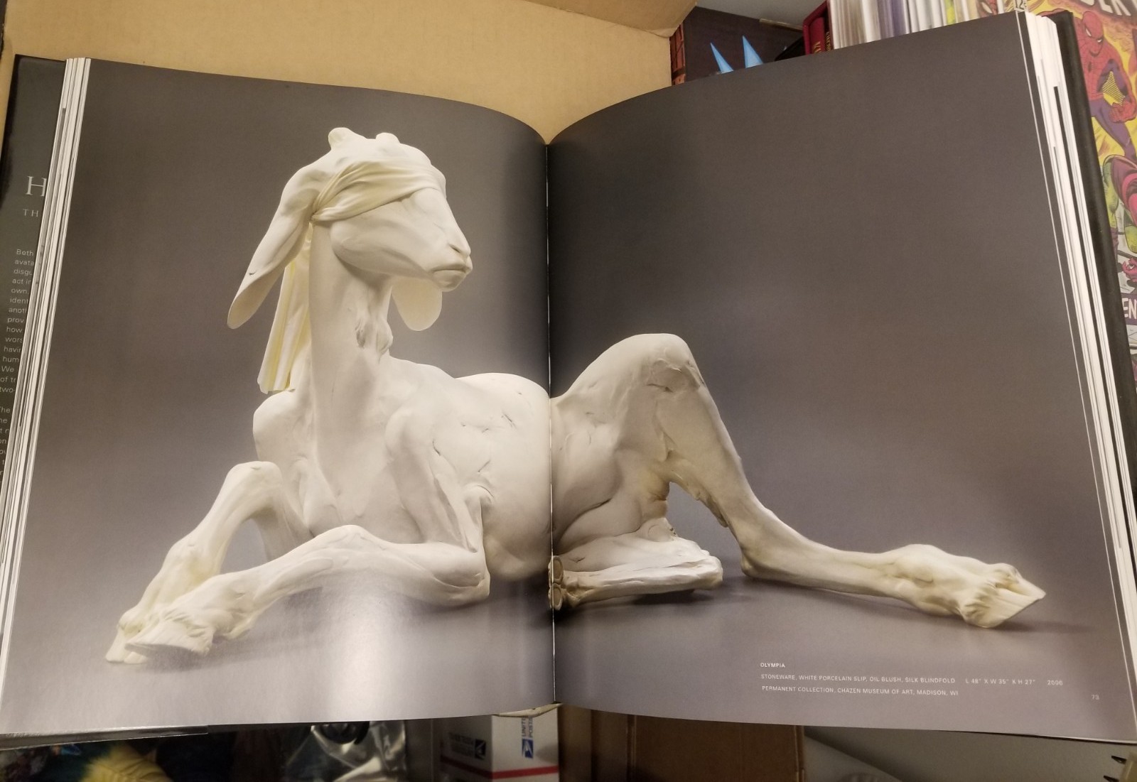 HUMAN THE ART OF BETH CAVENER SIGNED HARDCOVER HC 1ST PRINT 2019