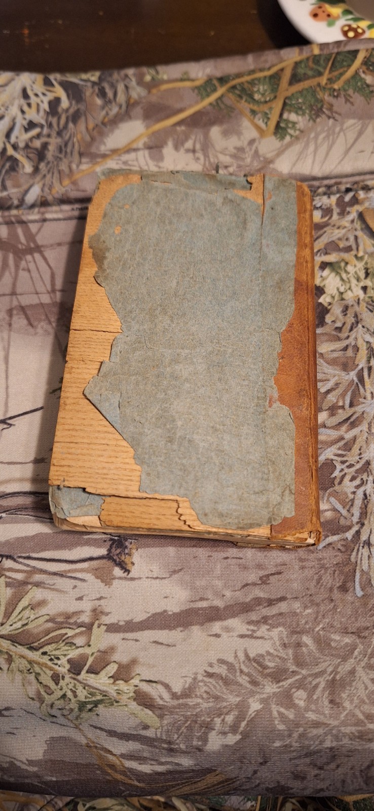 original 1814 Invisible Realities Holy Life Triumphant Death James Janeway book
