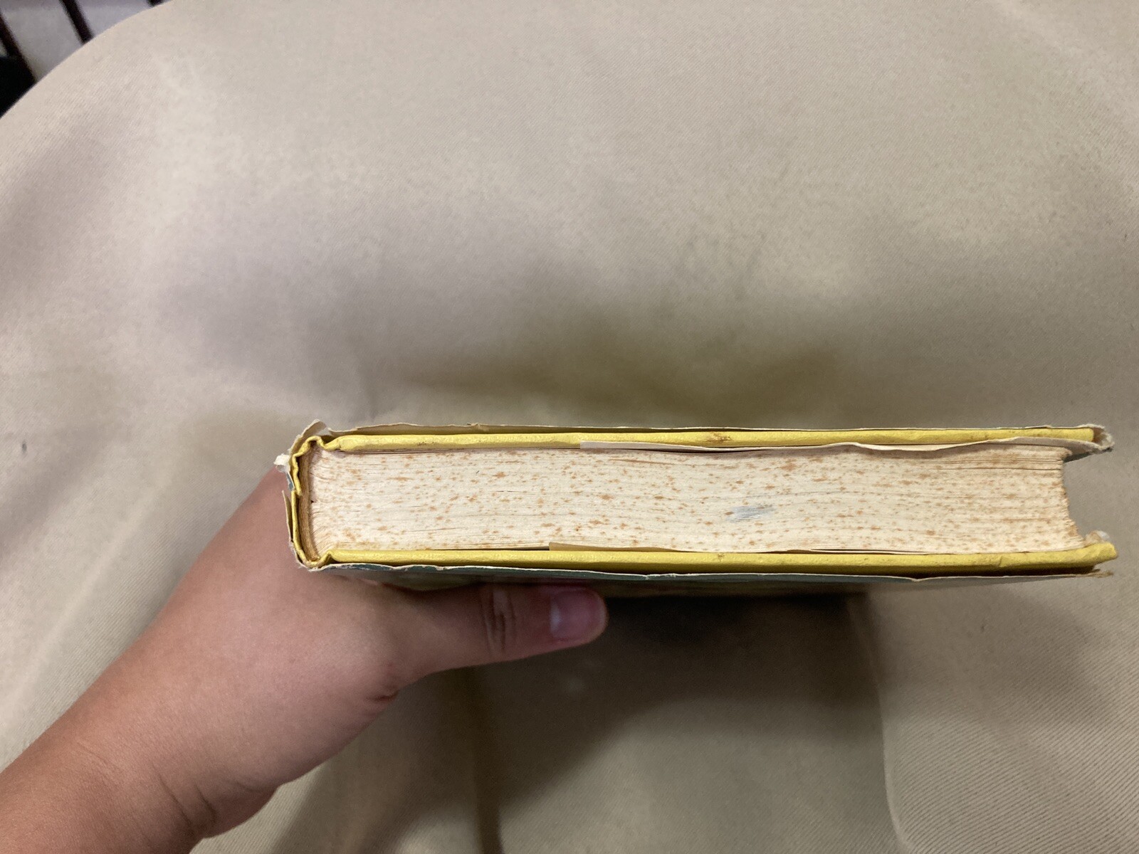 Pure As The Lily Book Hardcover 1973 Catherine Cookson Dust Jacket Good