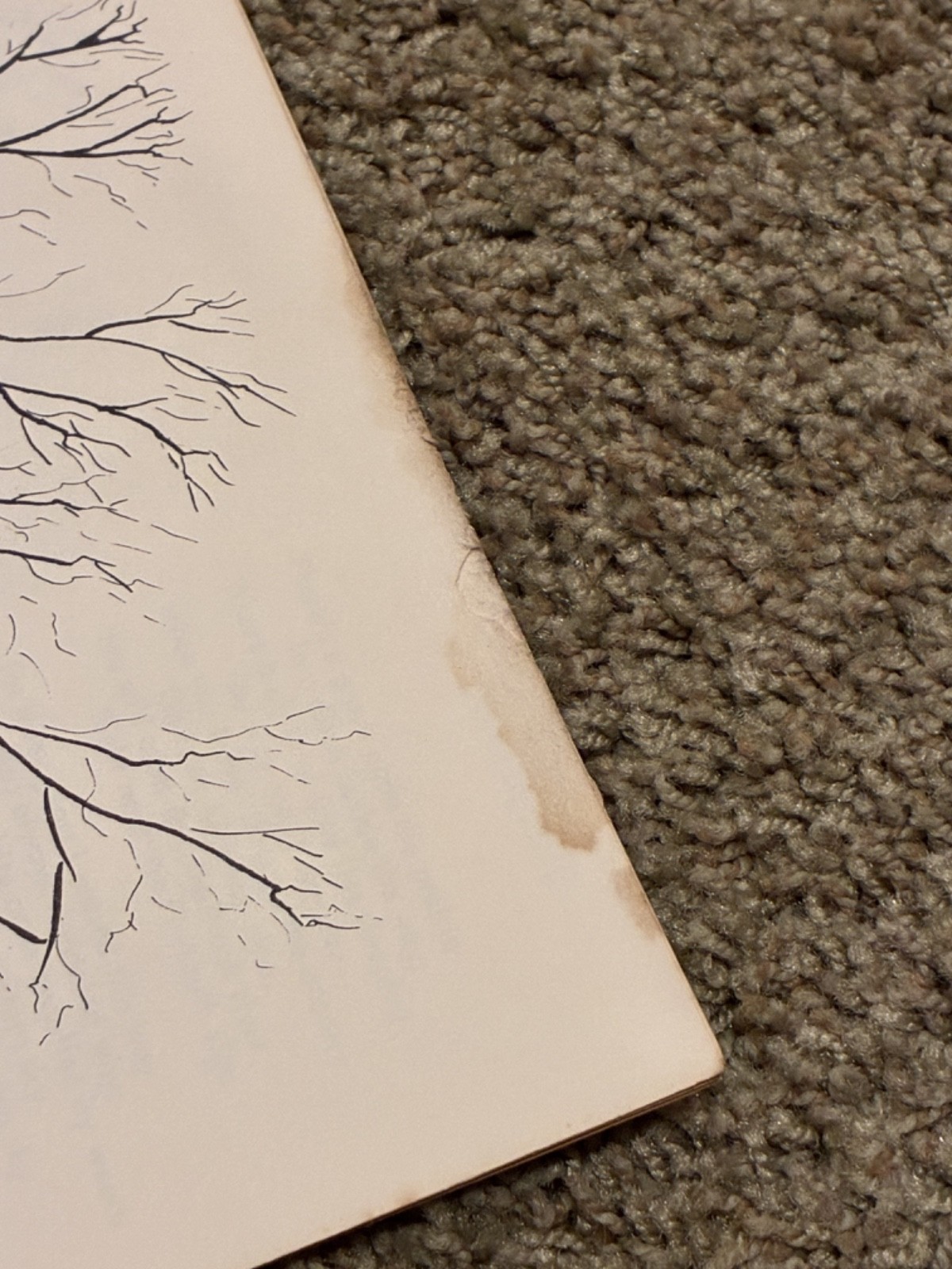 A Forest of Poems by Chambers 🔴 spiral bound book illustrated Vintage 1970