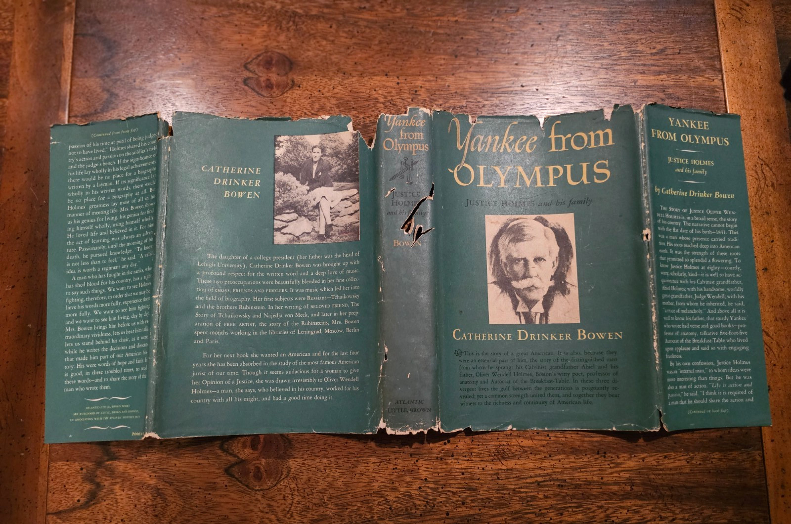 YANKEE FROM OLYMPUS – JUSTICE HOLMES AND FAMILY – CATHERINE DRINKER BOWEN HC/DJ