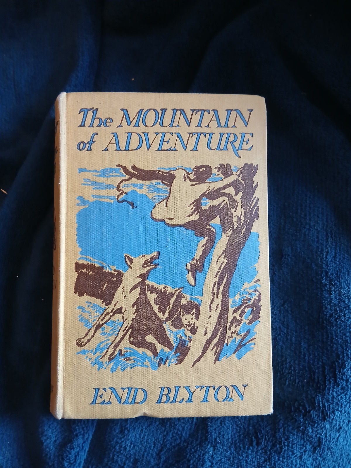 The Mountain Of Adventure Enid Blyton 1949 (36)